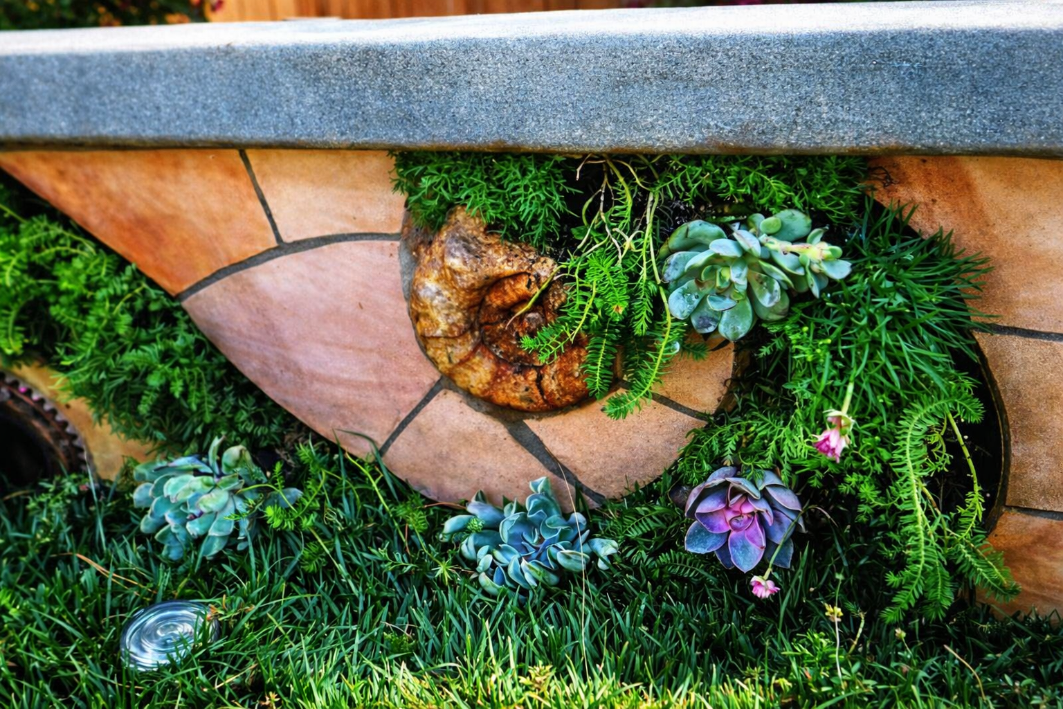 Close-up of a landscaped garden with succulents, ferns, rocks, and a stone wall in the background.  Retaining wall contractor near me.  