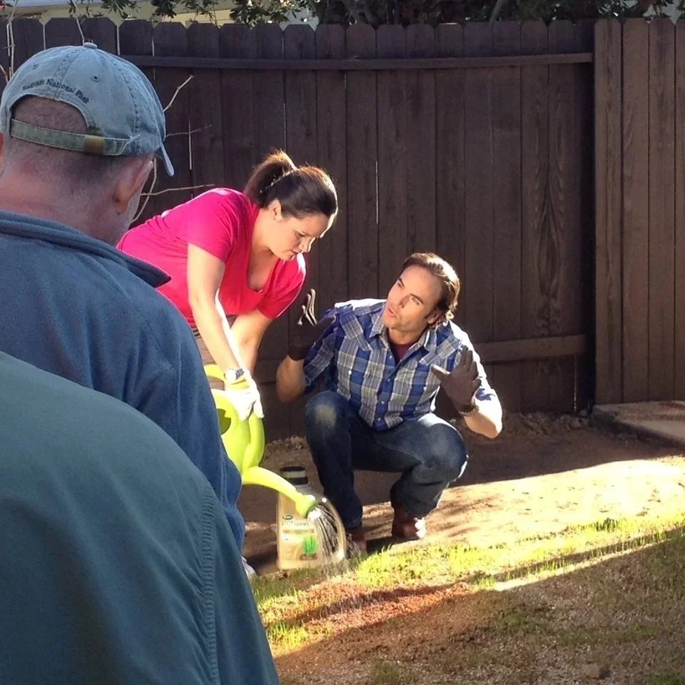 White flowers with yellow centers in a garden setting.