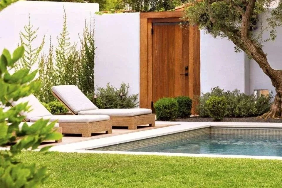 Best Plants for Poolside Privacy in San Diego: Create a Resort-Style Backyards 