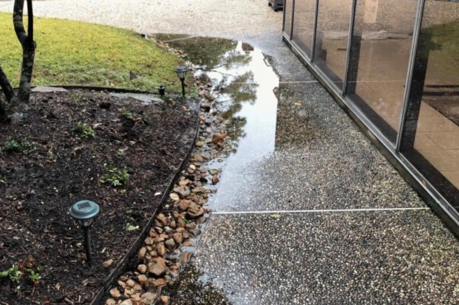 The Most Common Landscaping Mistakes San Diego Homeowners Make (And How to Avoid Them)