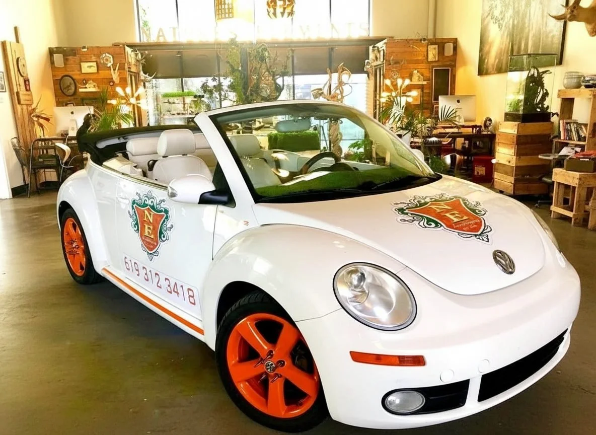 White convertible car with orange wheels and a crest on the hood and door, inside a decor-rich room with plants, desks, and artwork.