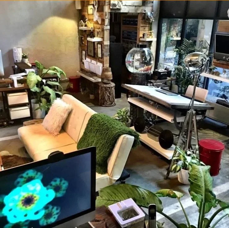 Cozy room with a yellow couch, green blanket, and pink pillow, surrounded by plants, a large fishbowl, a desk with audio equipment, and large windows letting in natural light. Nature's Elements Landscaping