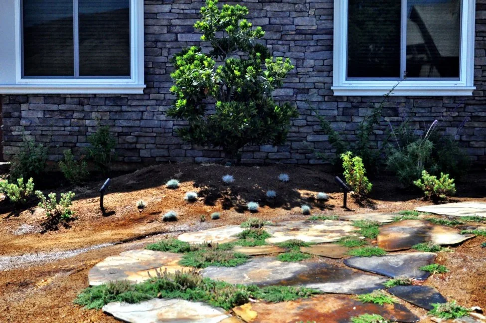 A landscaped garden with a green shrub against a brick house wall, surrounded by smaller plants, decorative rocks, and path stones.