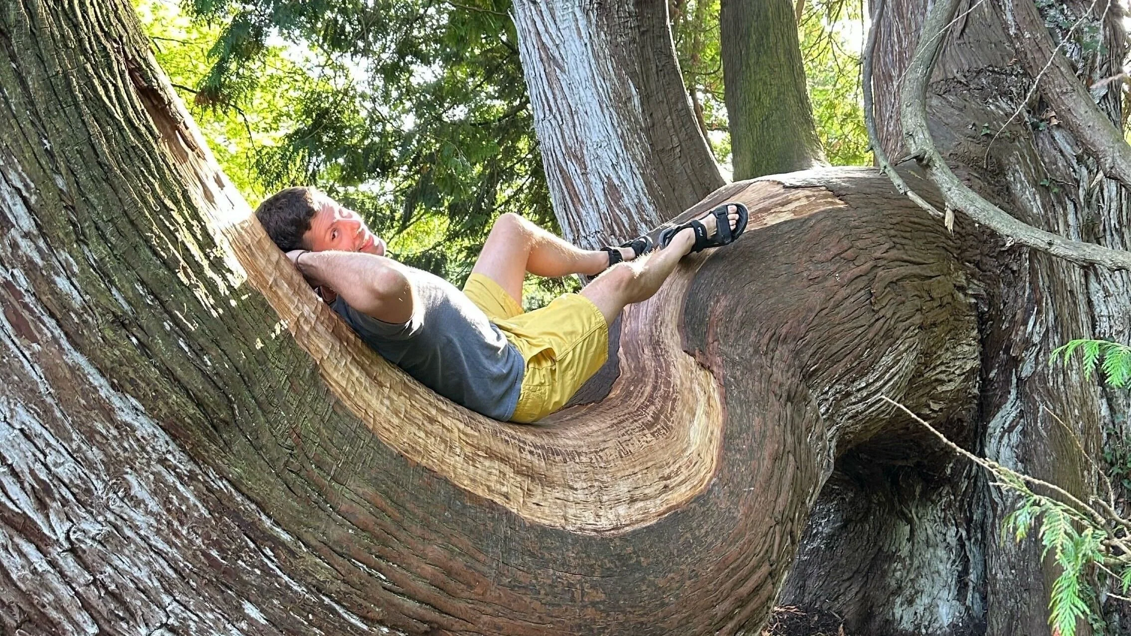 Teg Karamjot in a tree