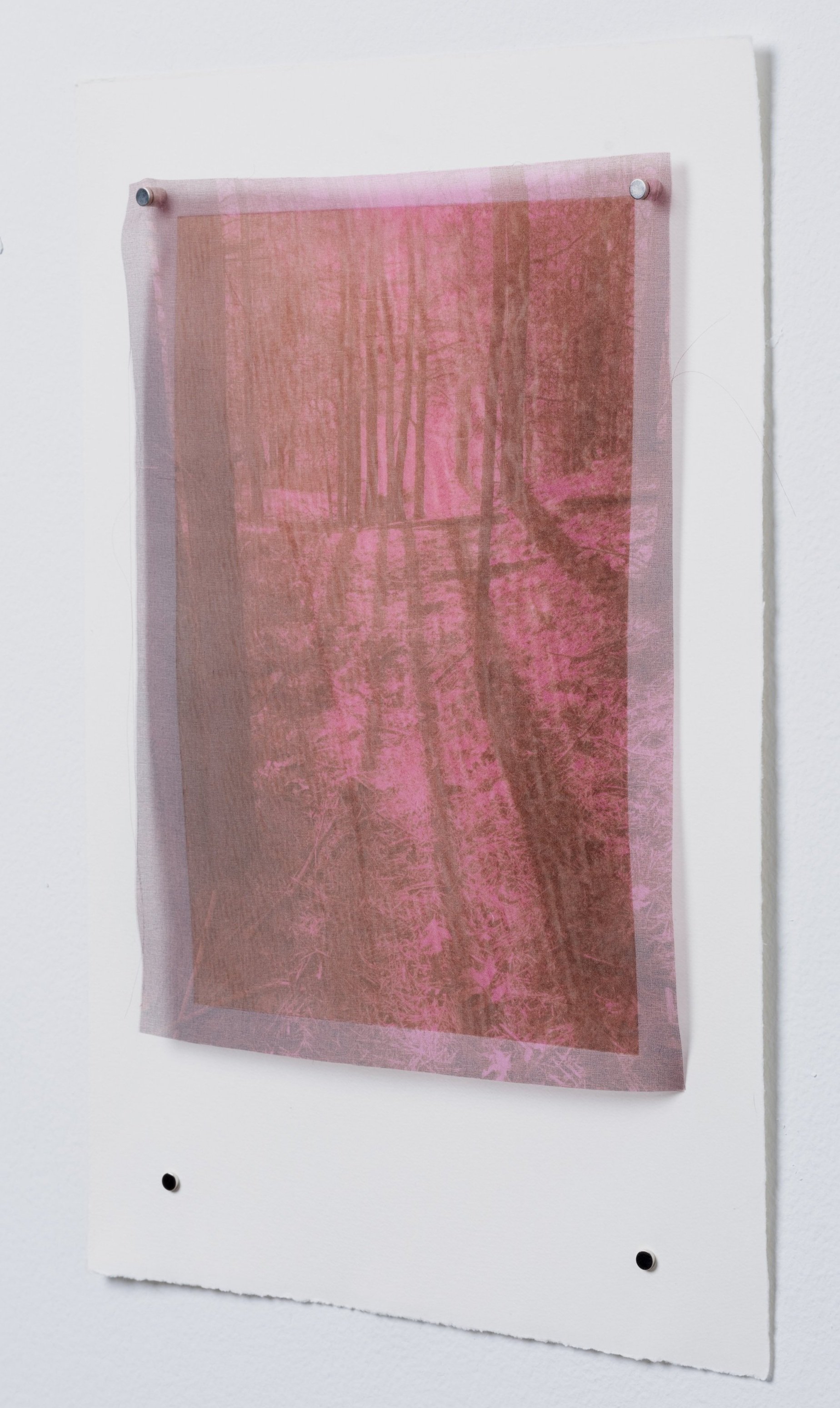 "Legacy: V" side view, 2025. Hand-pulled print on paper, organza, ink, oil pigment reclaimed from acid mine drainage