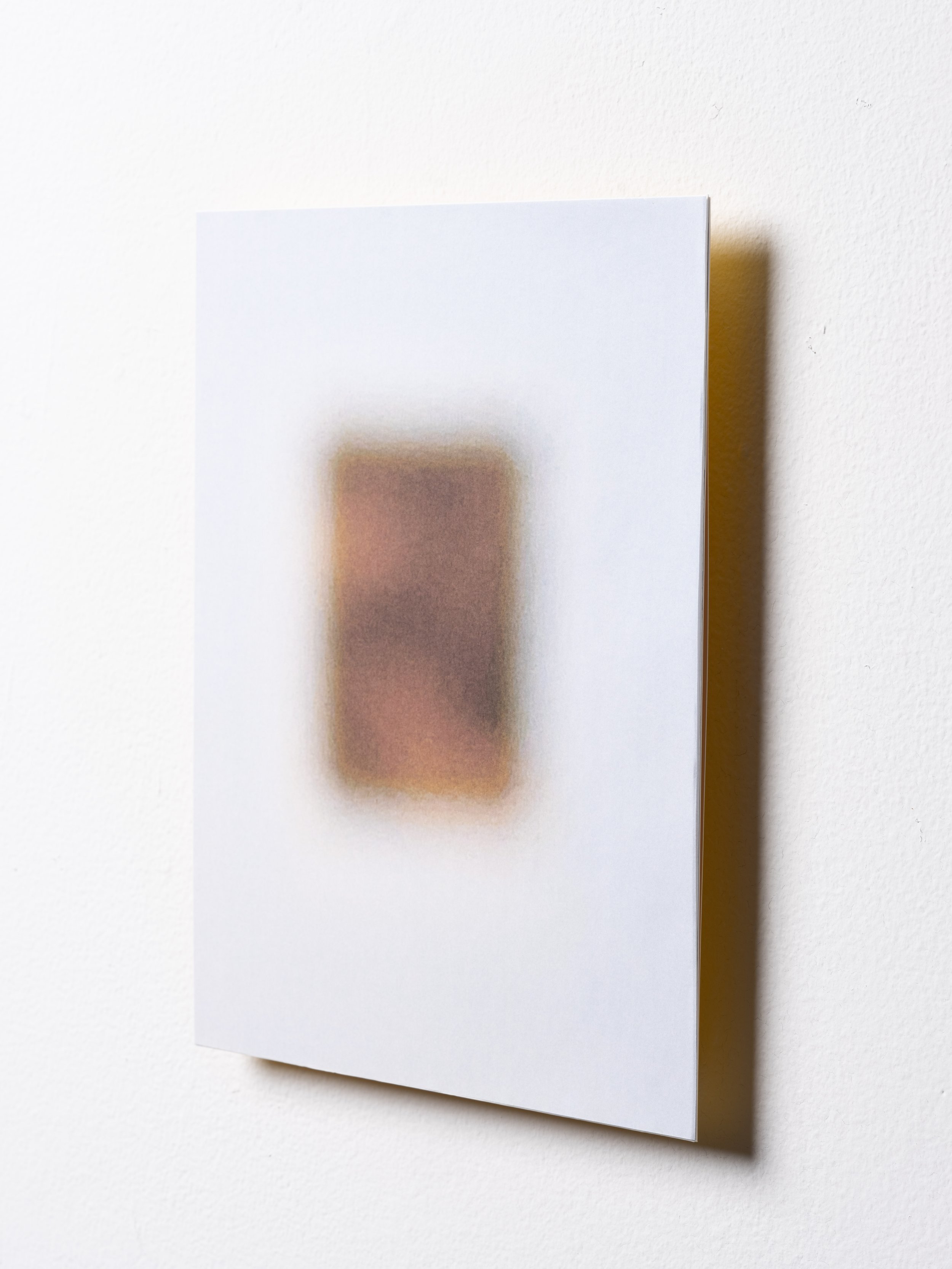 "Remnant: IV" Side view, 2025 - Digital print on paper, steel.