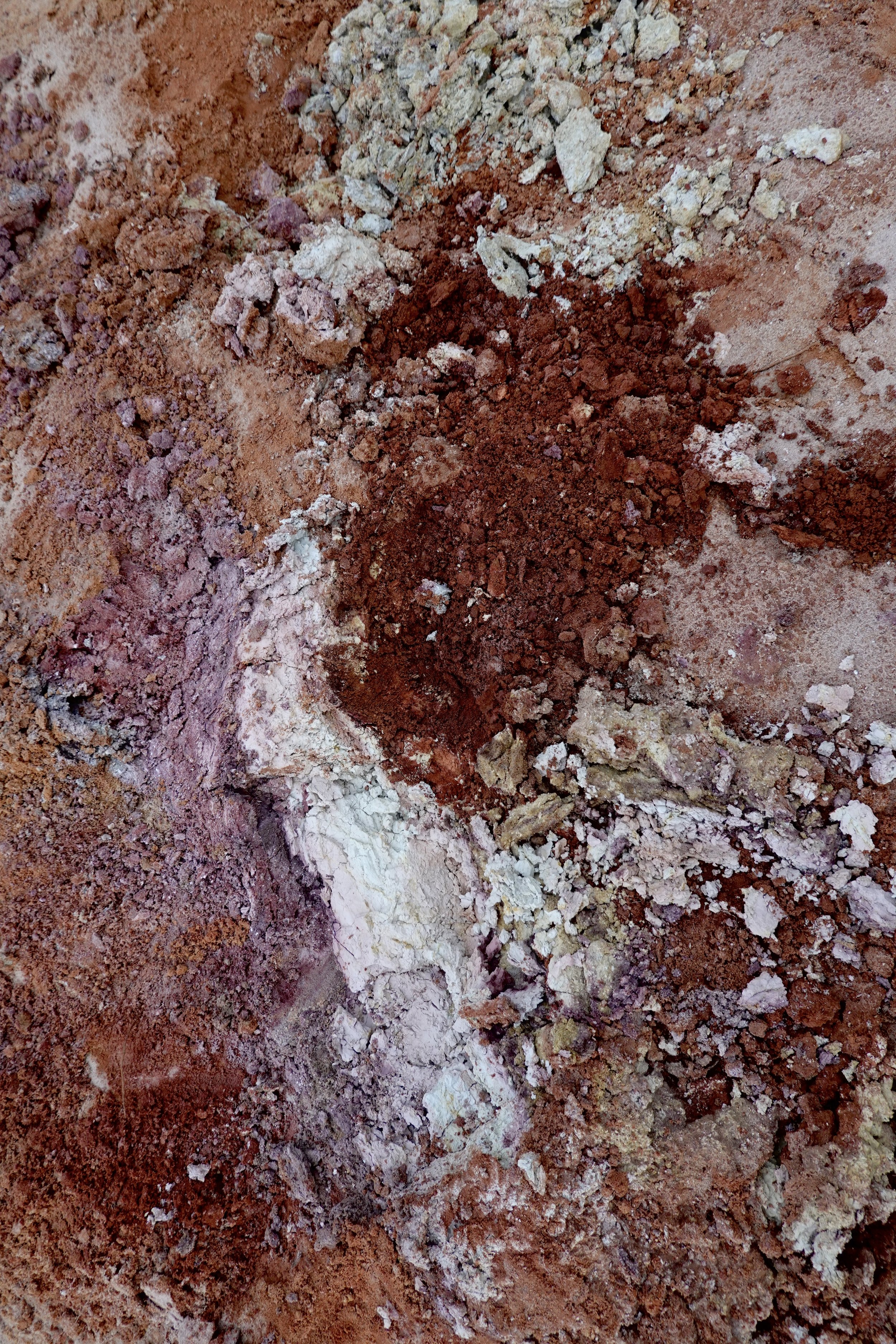 Wild clay at abandoned porcelain clay mine (Centre Co., Pennsylvania) - 2024.