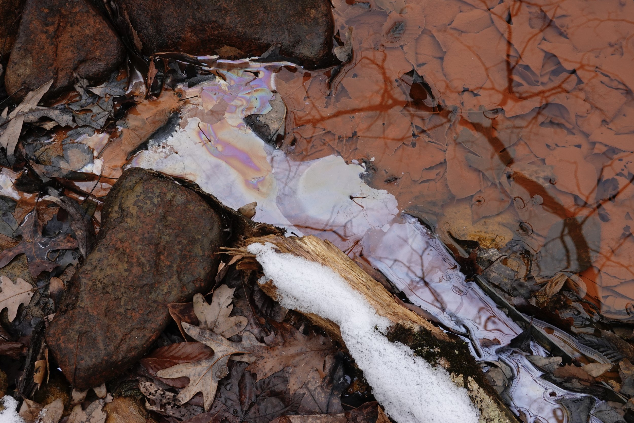 Metal eating bacteria covering some creek water rife with acid mine drainage (Centre Co., Pennsylvania) - 2024.