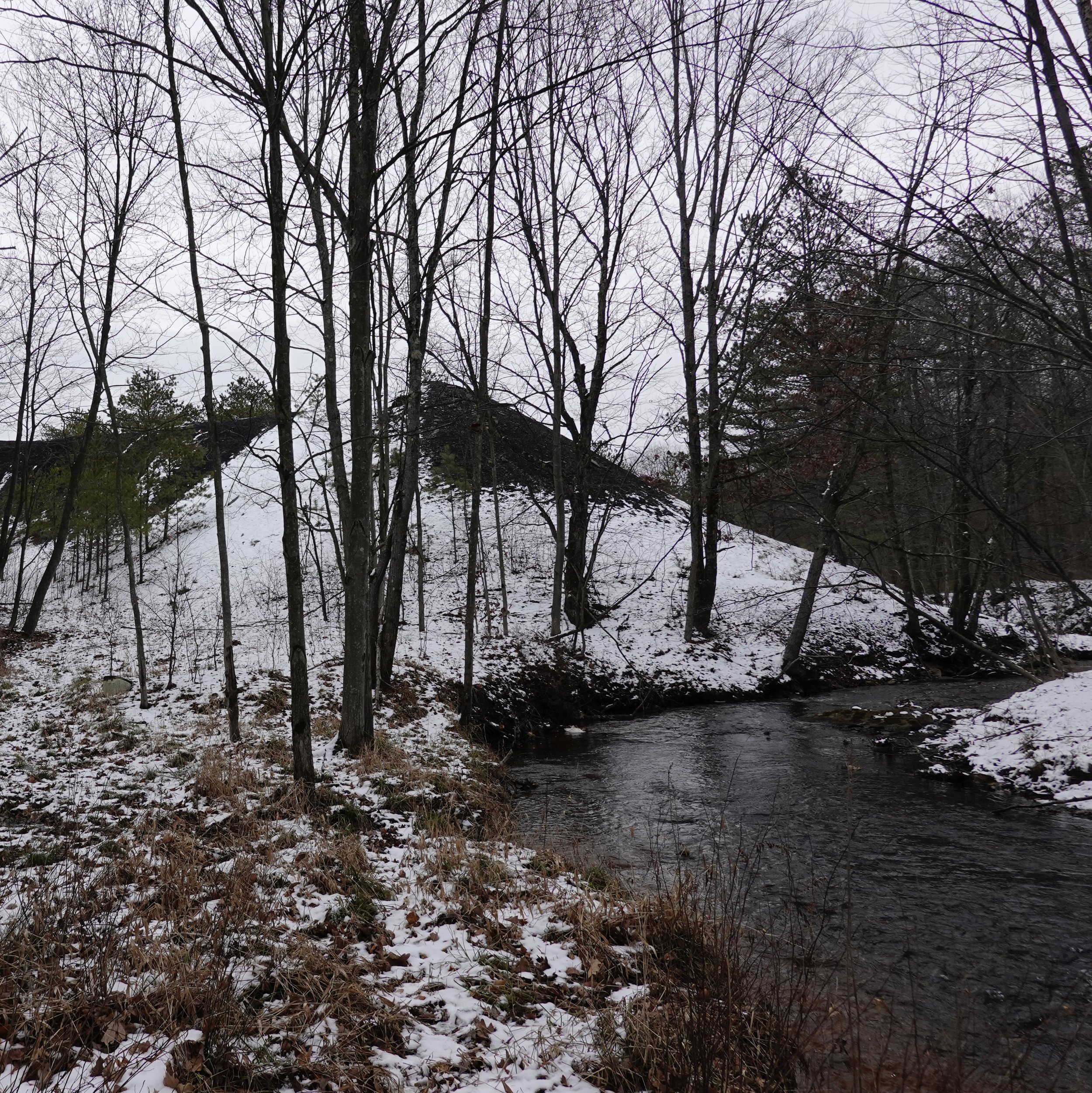 2024 - Large pile of refuse coal dumped into the creek more than 75 years ago (Centre Co., Pennsylvania).