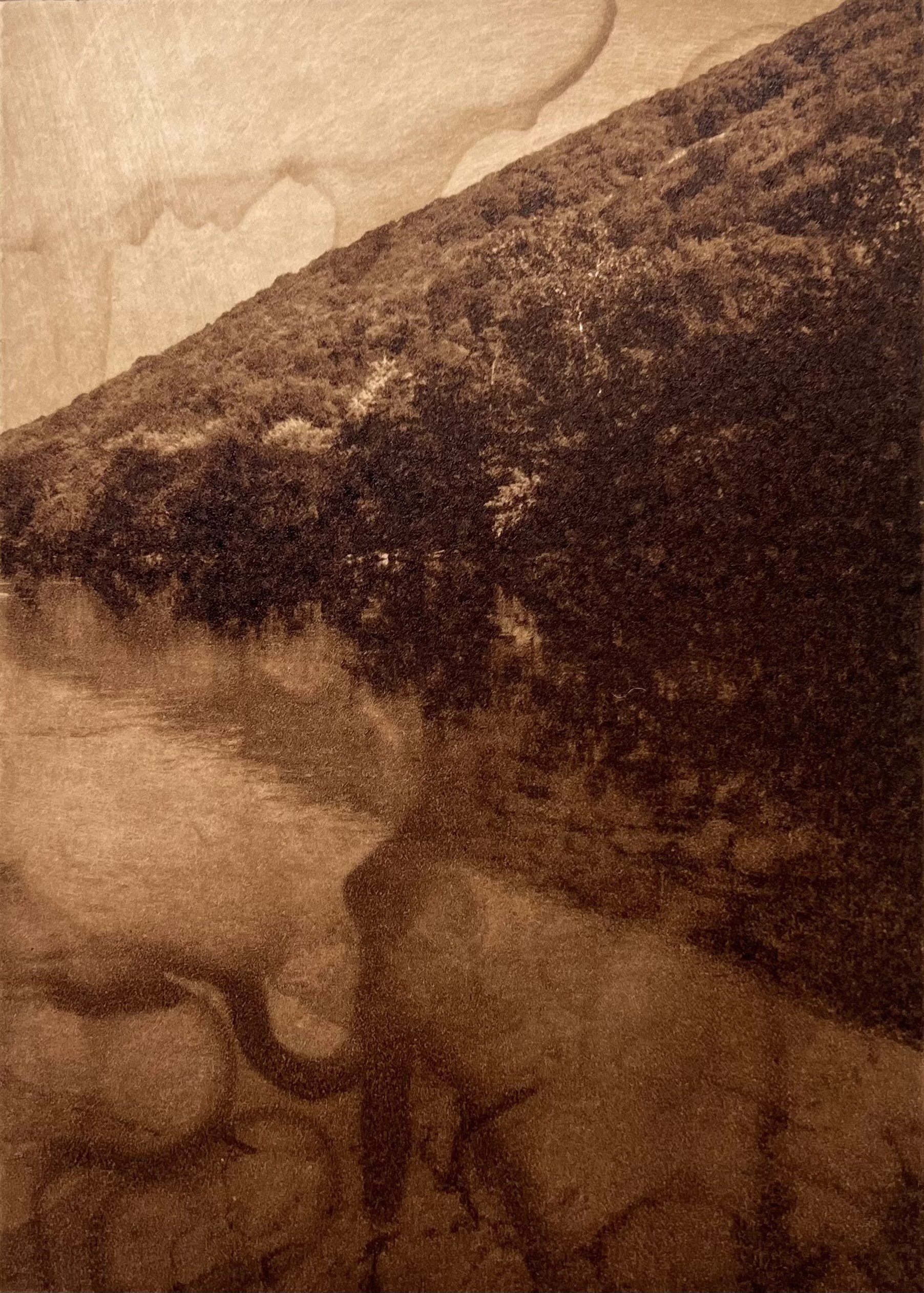 "Little Juniata", 2024 - Hand-pulled print on paper, ink, 7 x 5 in.