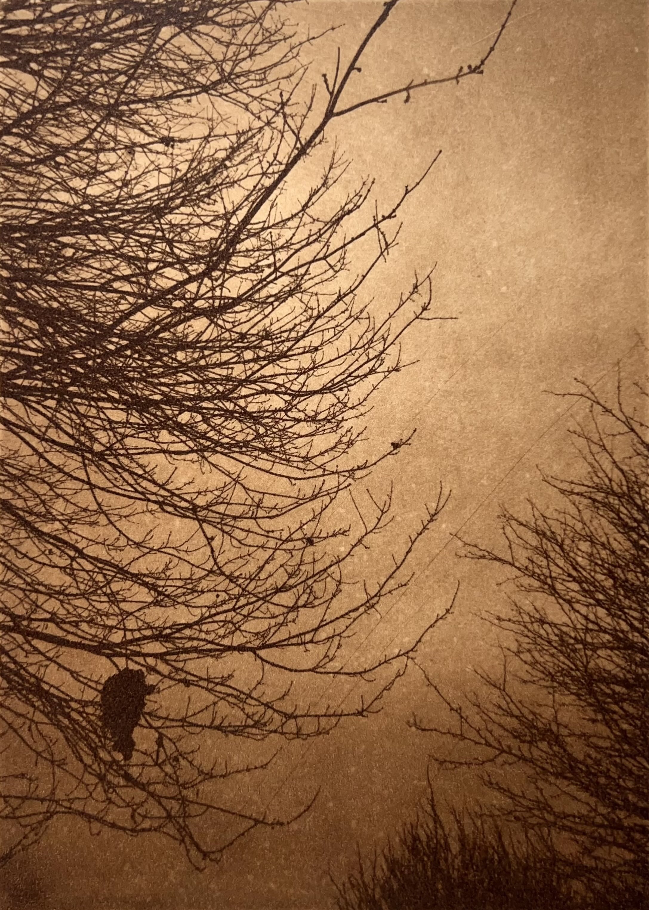 "Untitled", 2024 - Hand-pulled print on paper, ink, 7 x 5 in.