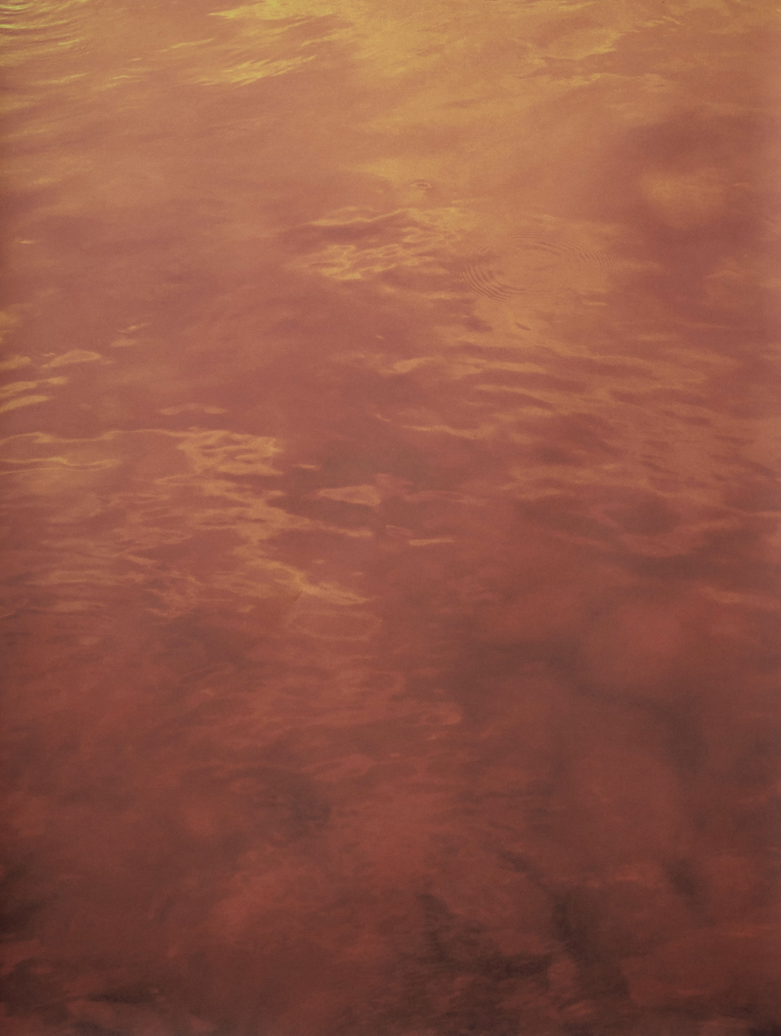 "Seepage: VIII", 2024 - Digital print on textured paper, 42 x 54 in