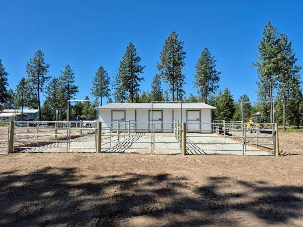 Enclosed horse riding arena with a white building and tall pine trees in the background on a clear sunny day.