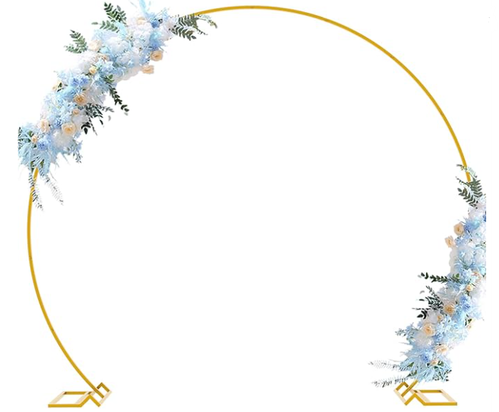 Circle Balloon Arch Decor Image.png