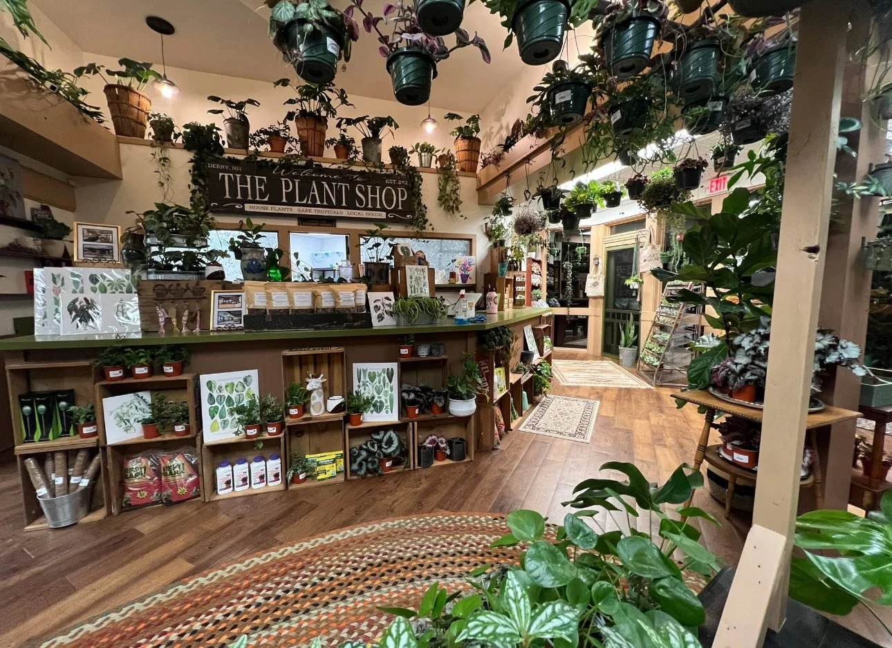 Pop up at The Plant Shop of NH