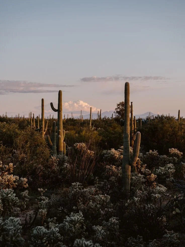 Way Out West Brunch Club