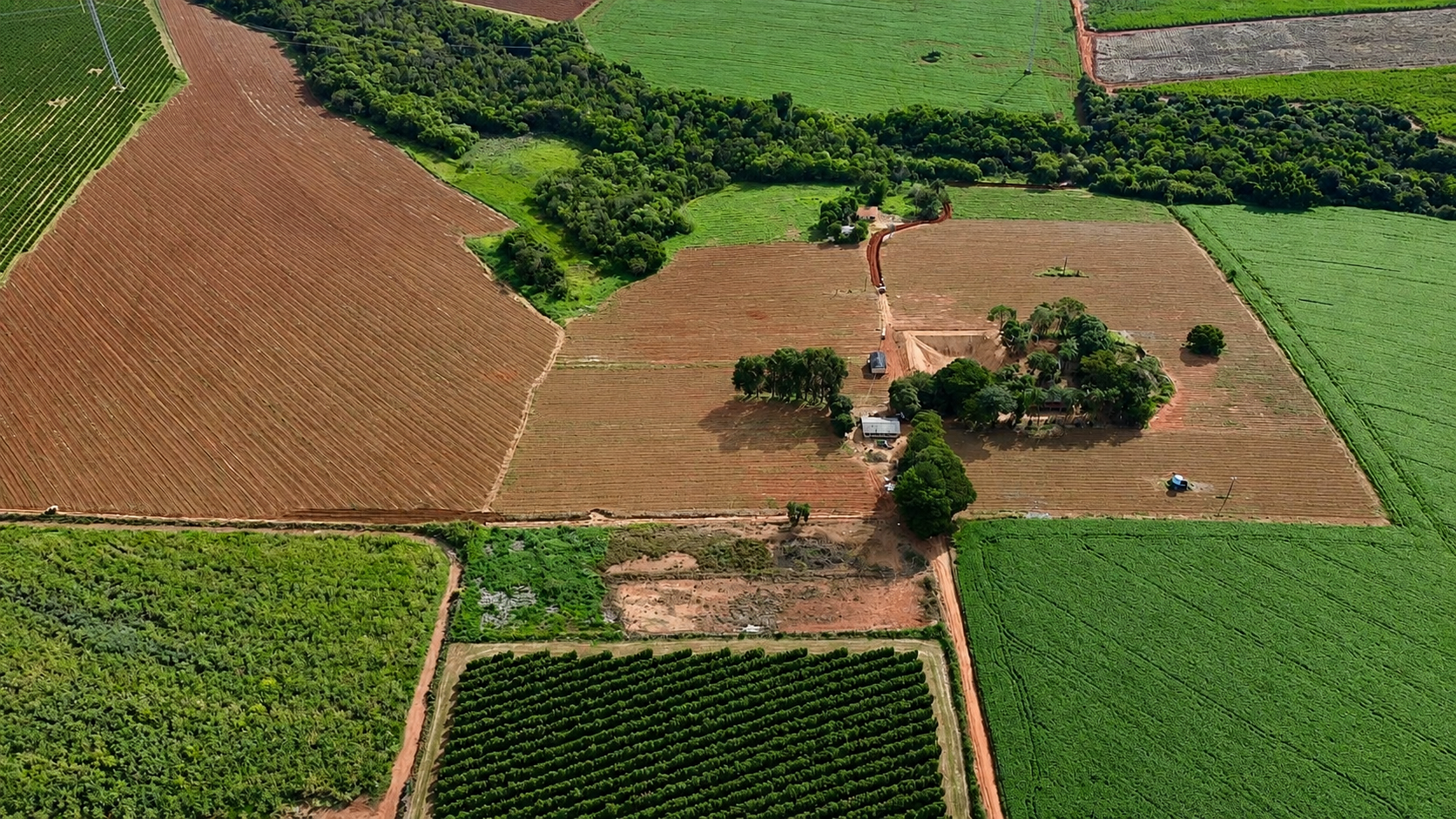 Aerial view of farmland with different crop fields, some with green crops and others with brown soil, scattered trees, dirt roads, and farm buildings.
