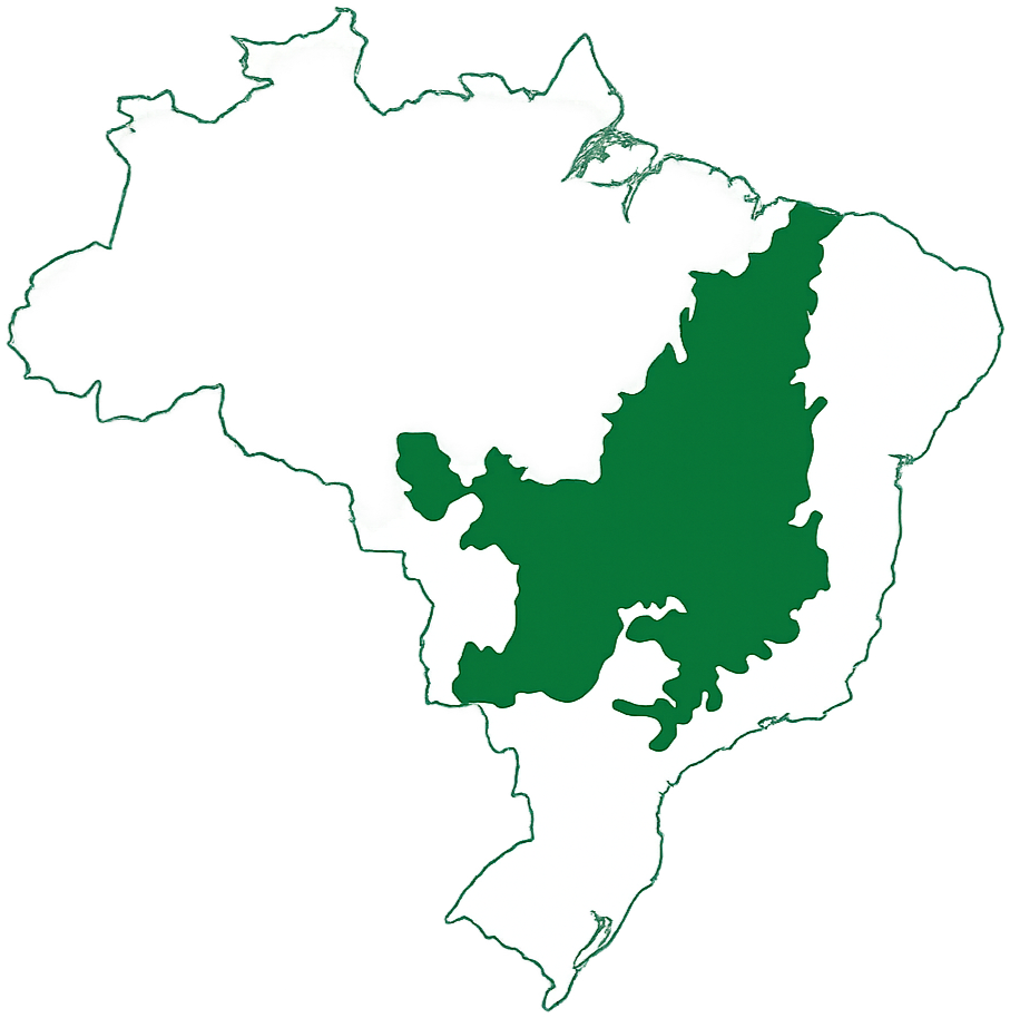 Map of Brazil, with Cerrado Mineiro Region hlighted in green, covering 55 municipalities in northwestern and western Minas Gerais, it stands out for its altitudes between 800 and 1,200 meters and well-defined climate, producing high-quality Arabica c