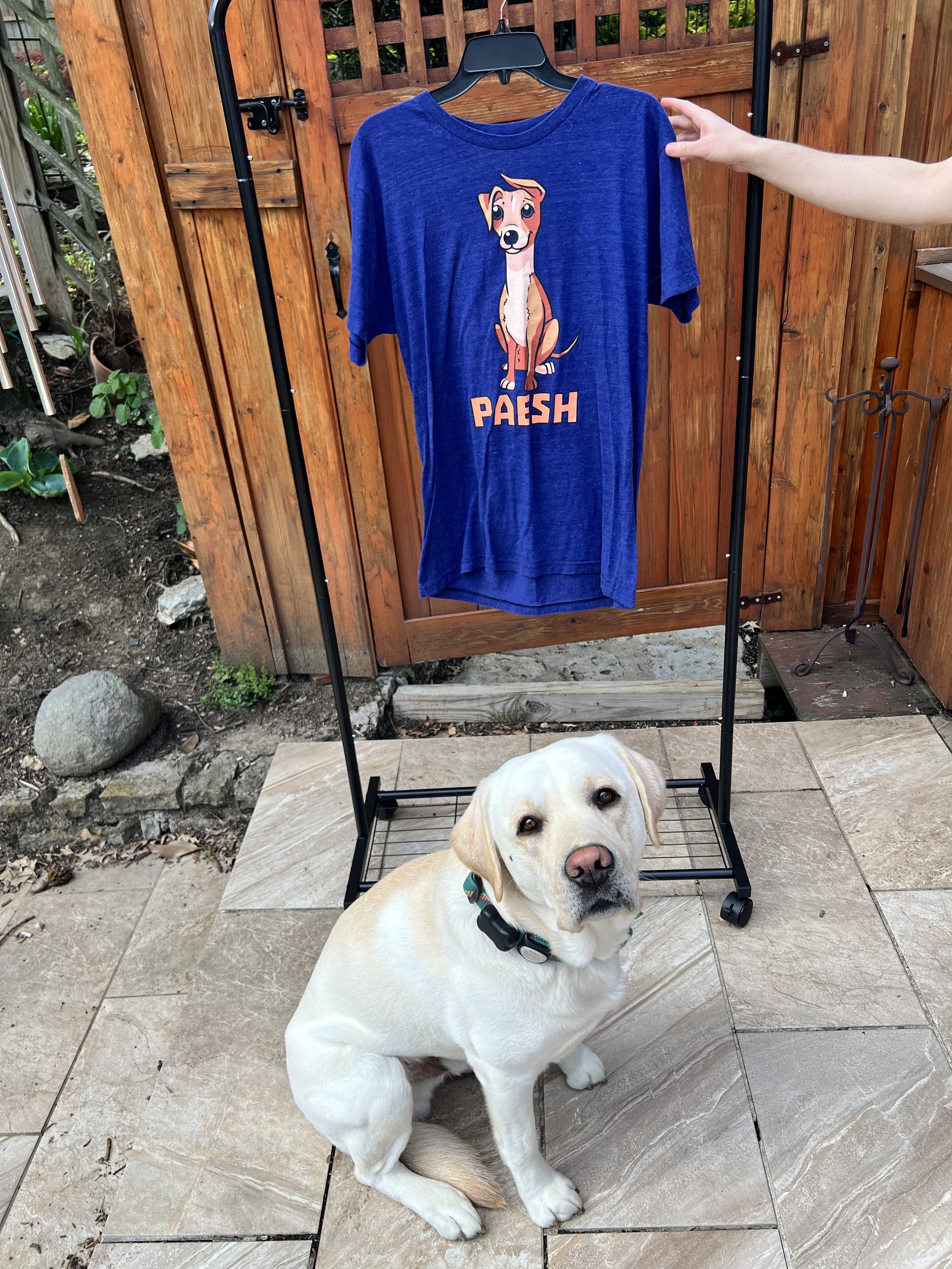 Jenna Marbles Paesh Merch T Shirt - $15