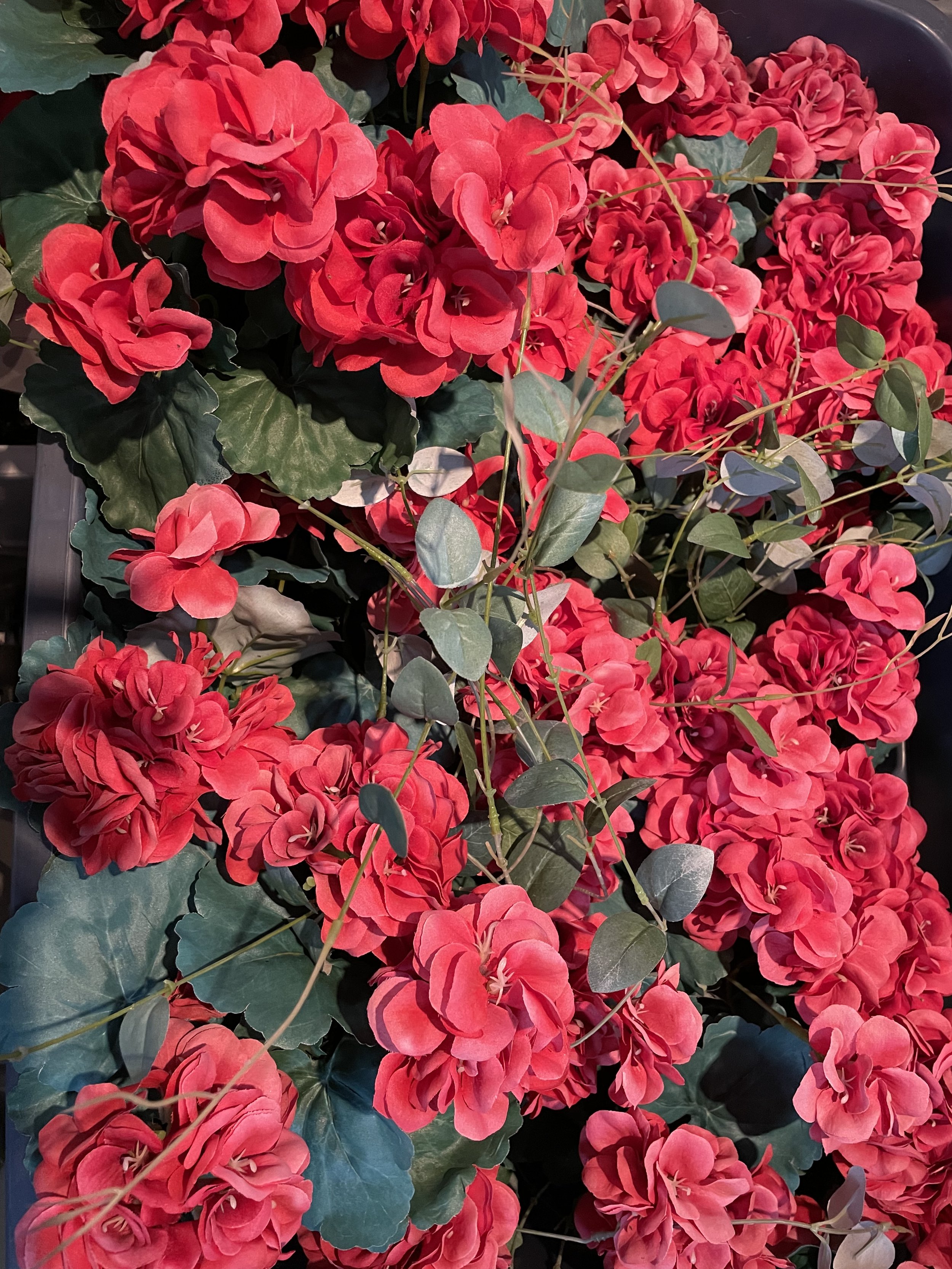 Grandin Road Geranium Window-box Filler - $5 each