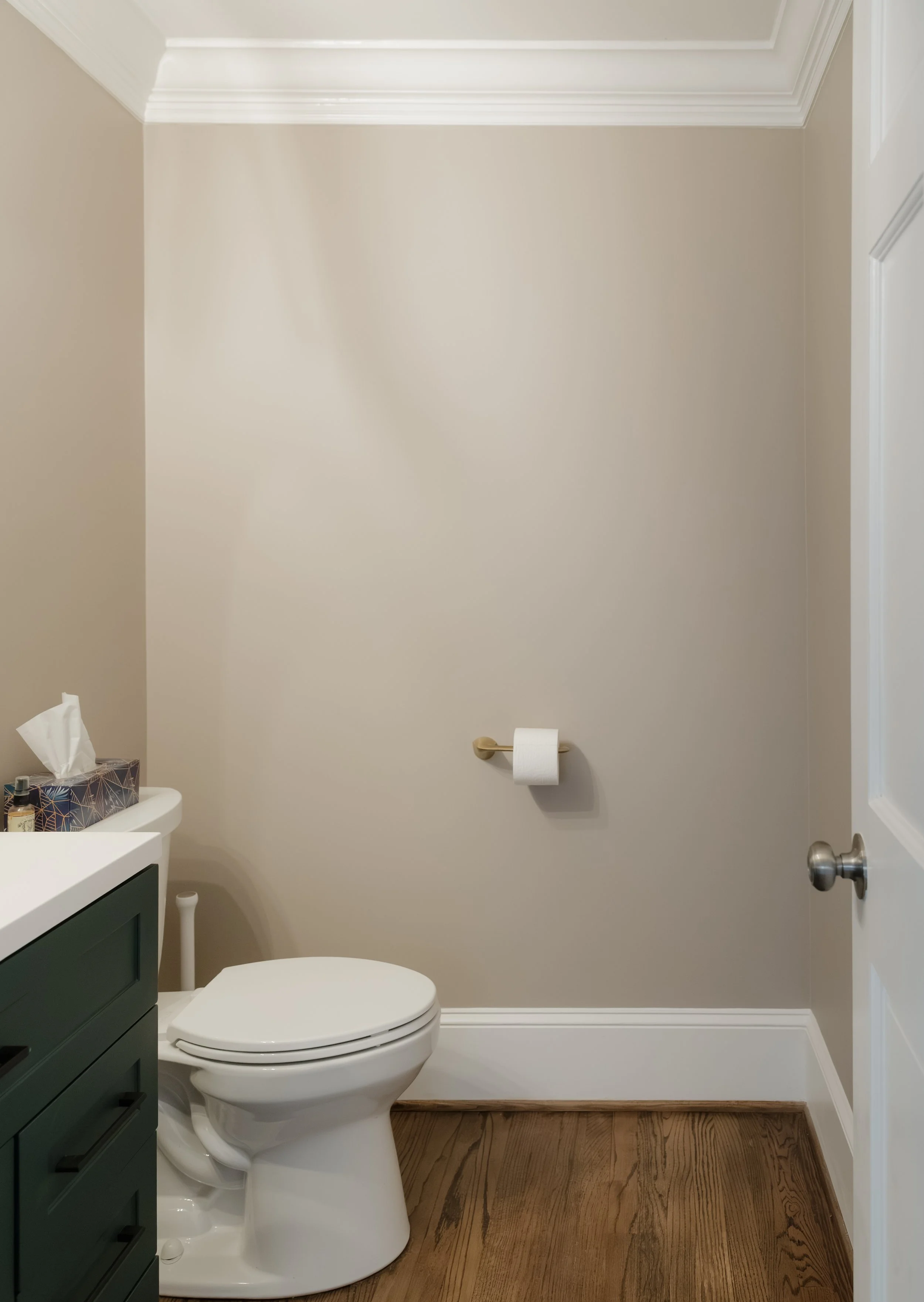 Bathroom interior painting project in Greer, SC (Thornablade community)