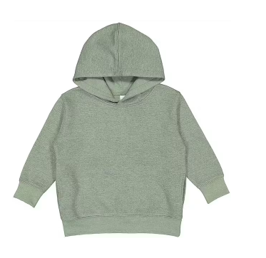 toddler sage hoodie.png