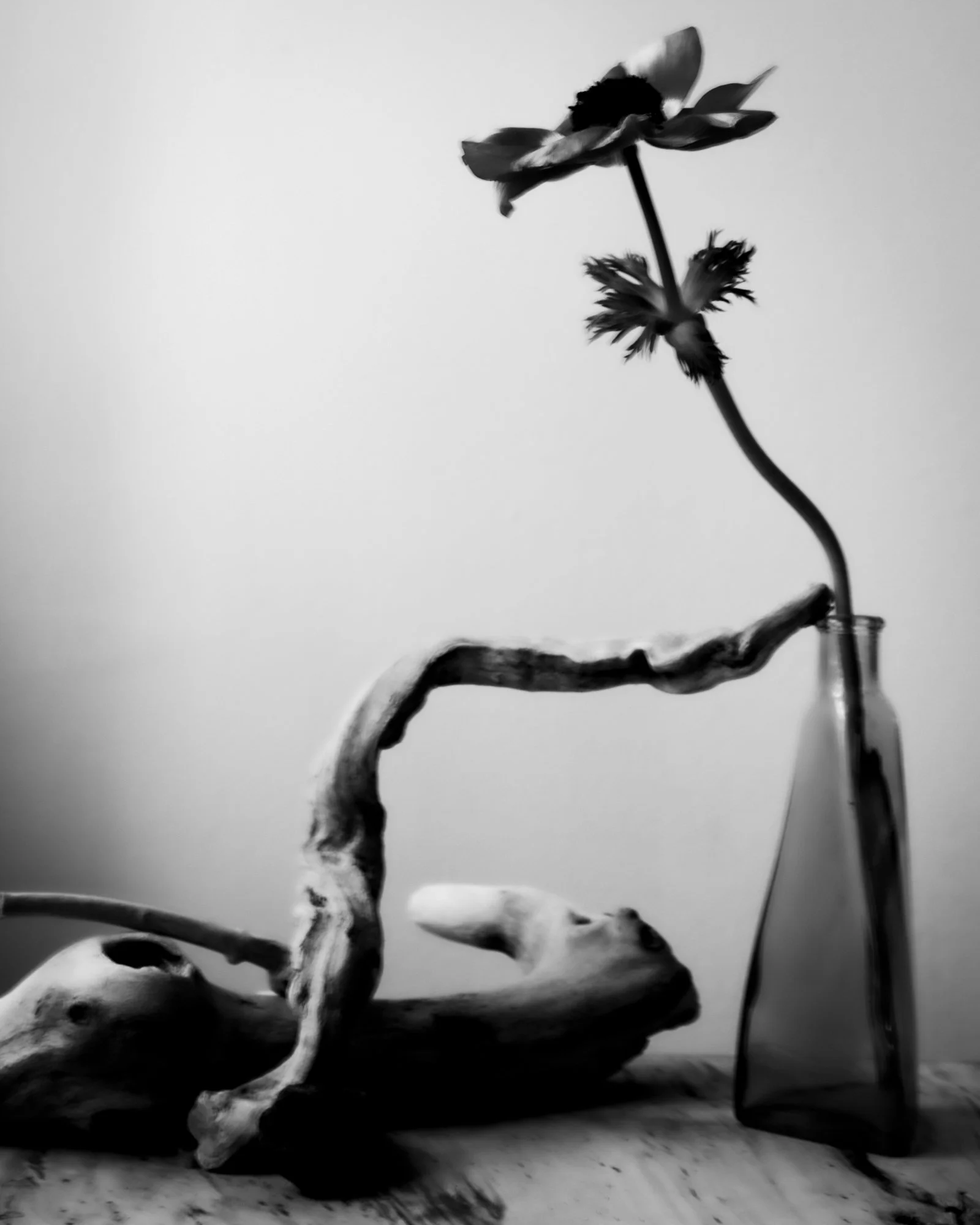 Takenaka_Kate_P_flower copy.jpg