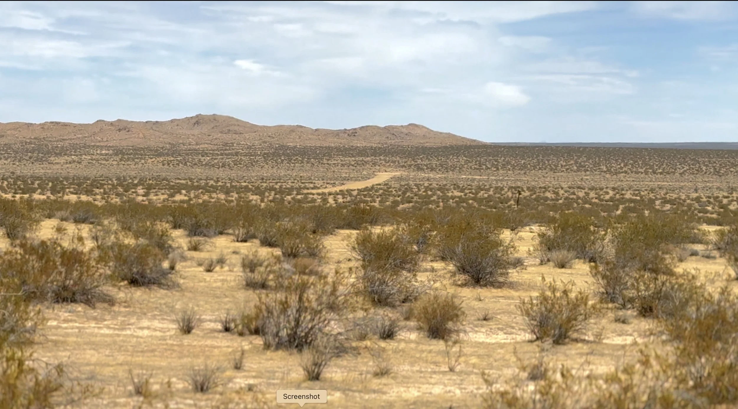 A vast desert landscape with sparse bushes, distant mountains, and a cloudy sky.