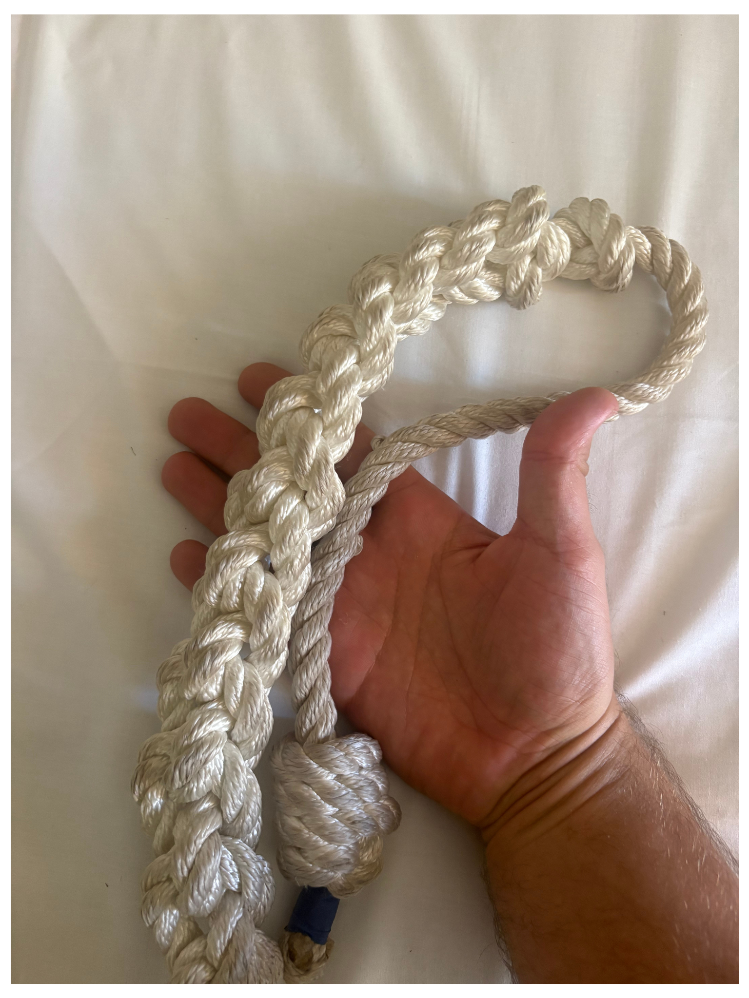 Braided rope 2 WT.png