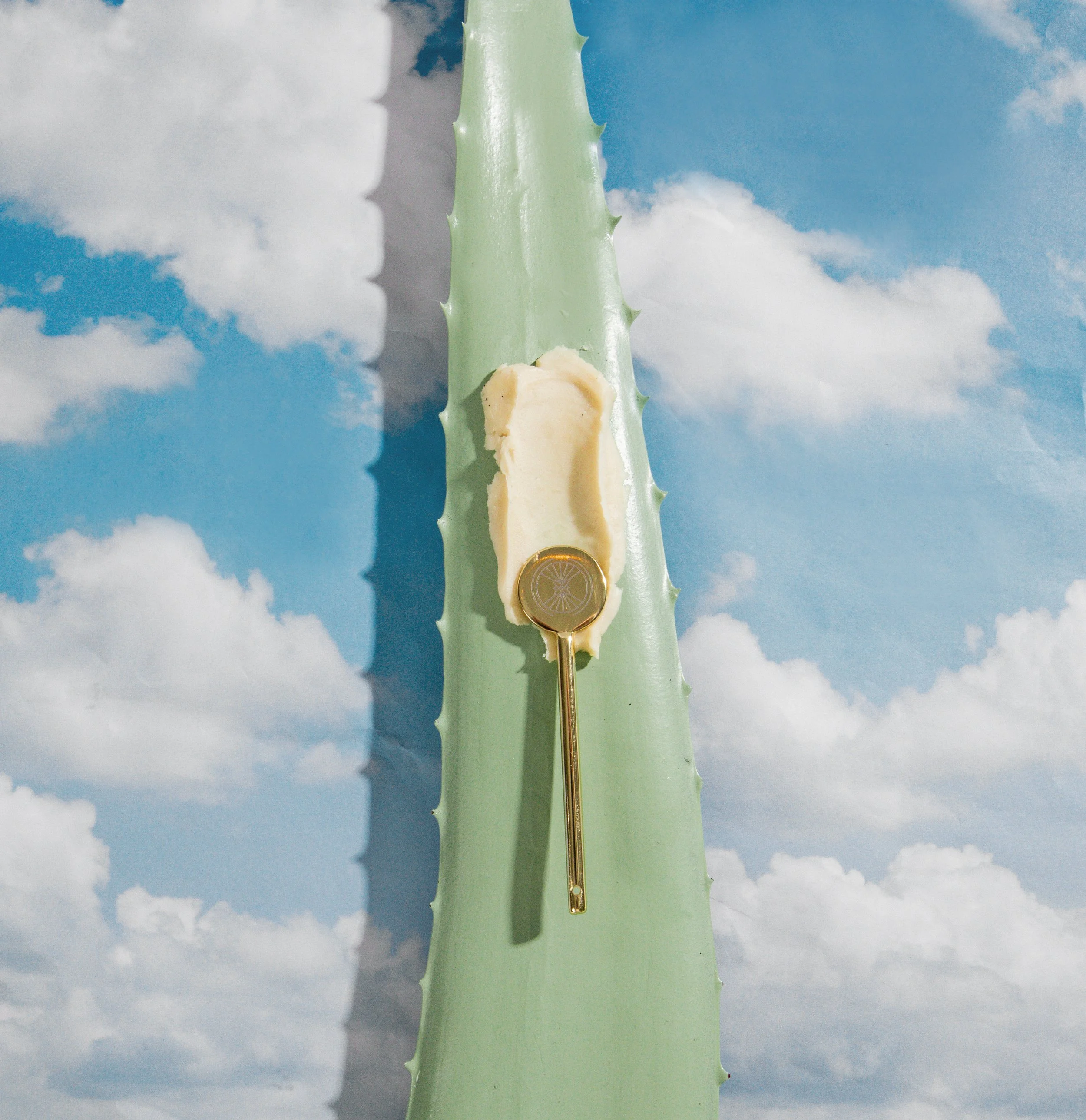 In this shoot, I deconstructed skincare products to show the clean nature of Bellanomi African Skincare.  We produced flat lay photography showcasing the gorgeous and pure ingredients in each product.  The client wanted customers to be able to have a