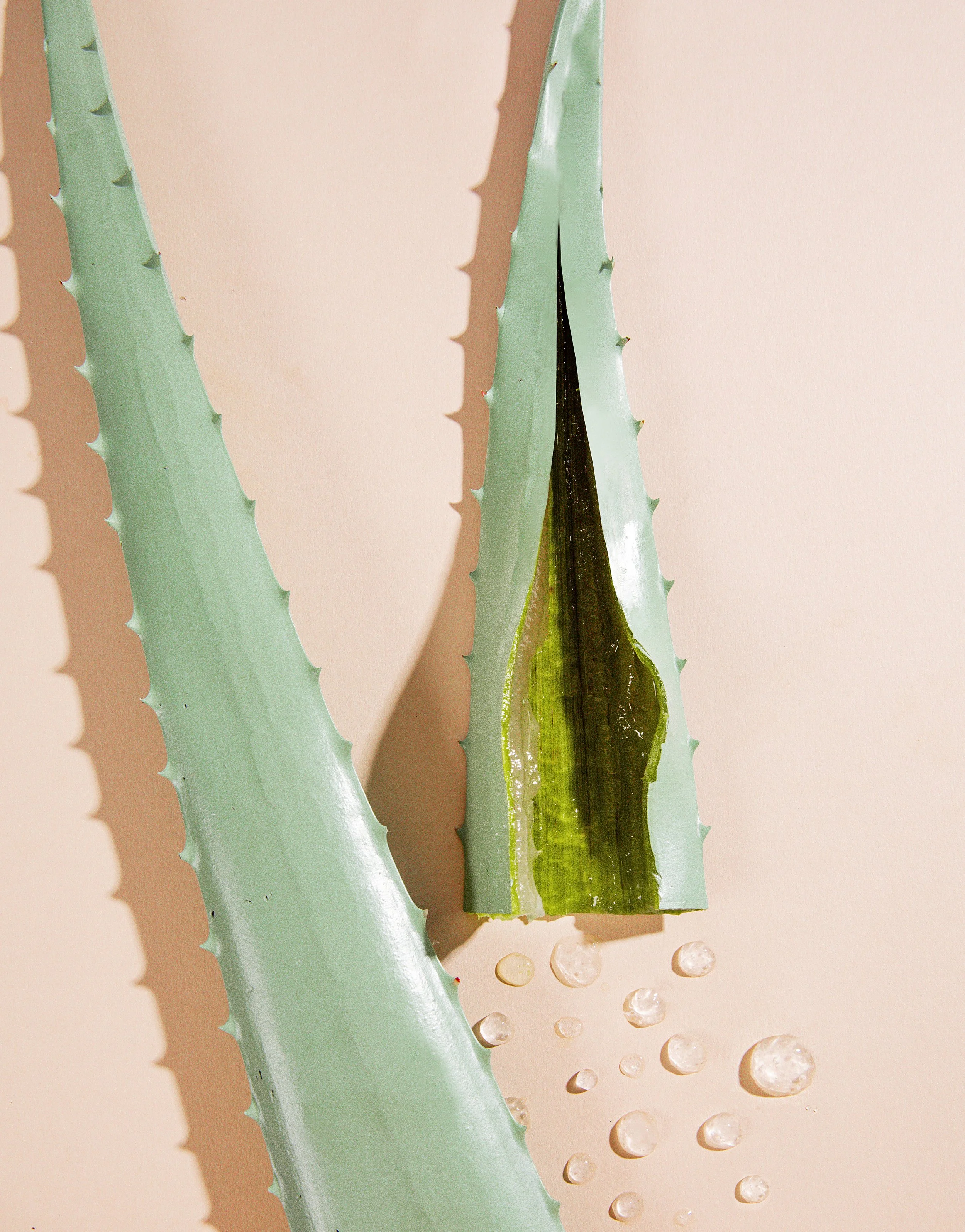 In this shoot, I deconstructed skincare products to show the clean nature of Bellanomi African Skincare.  We produced flat lay photography showcasing the gorgeous and pure ingredients in each product.  The client wanted customers to be able to have a