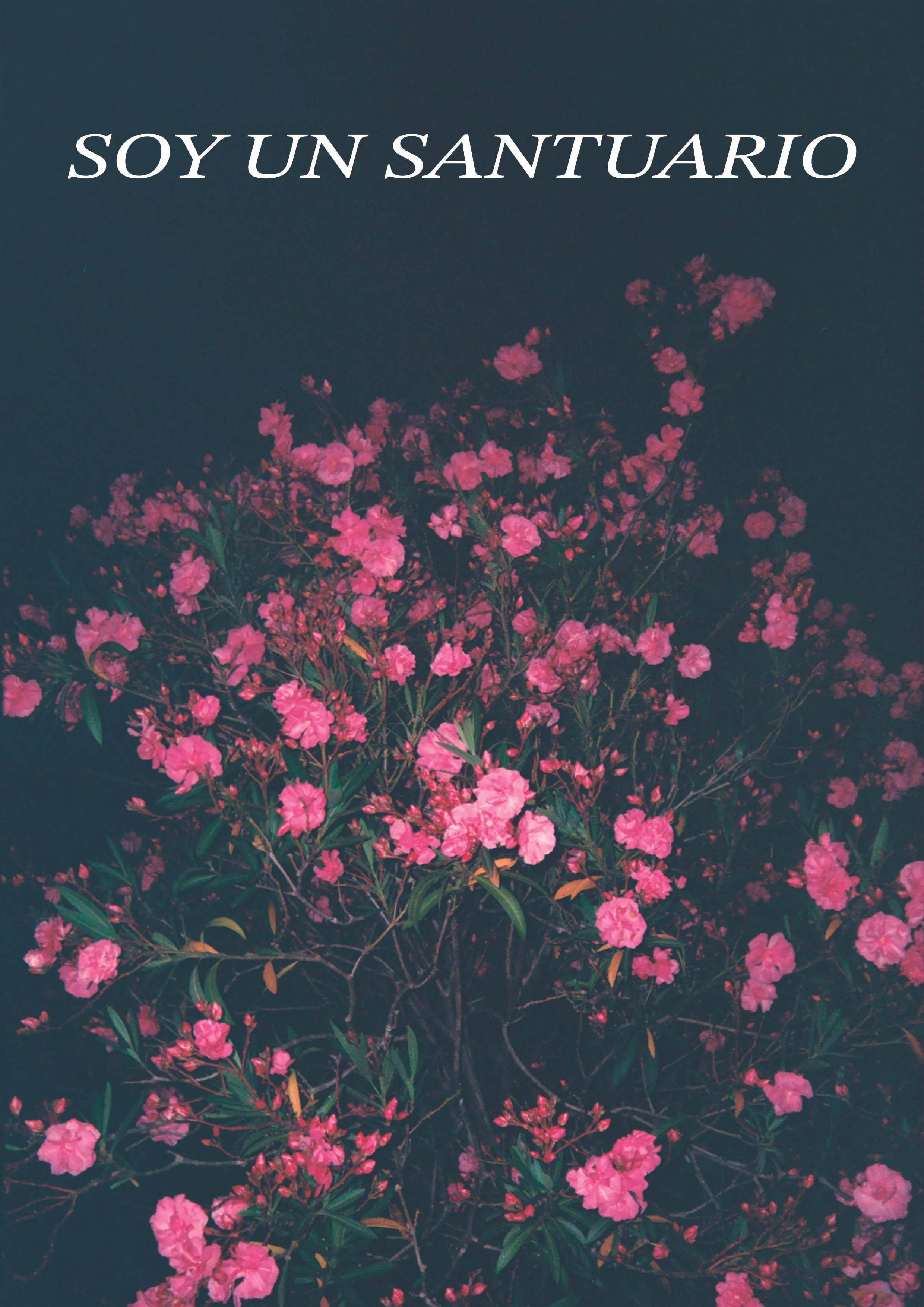 PosterA4-SOYUNSANTUARIO.jpg