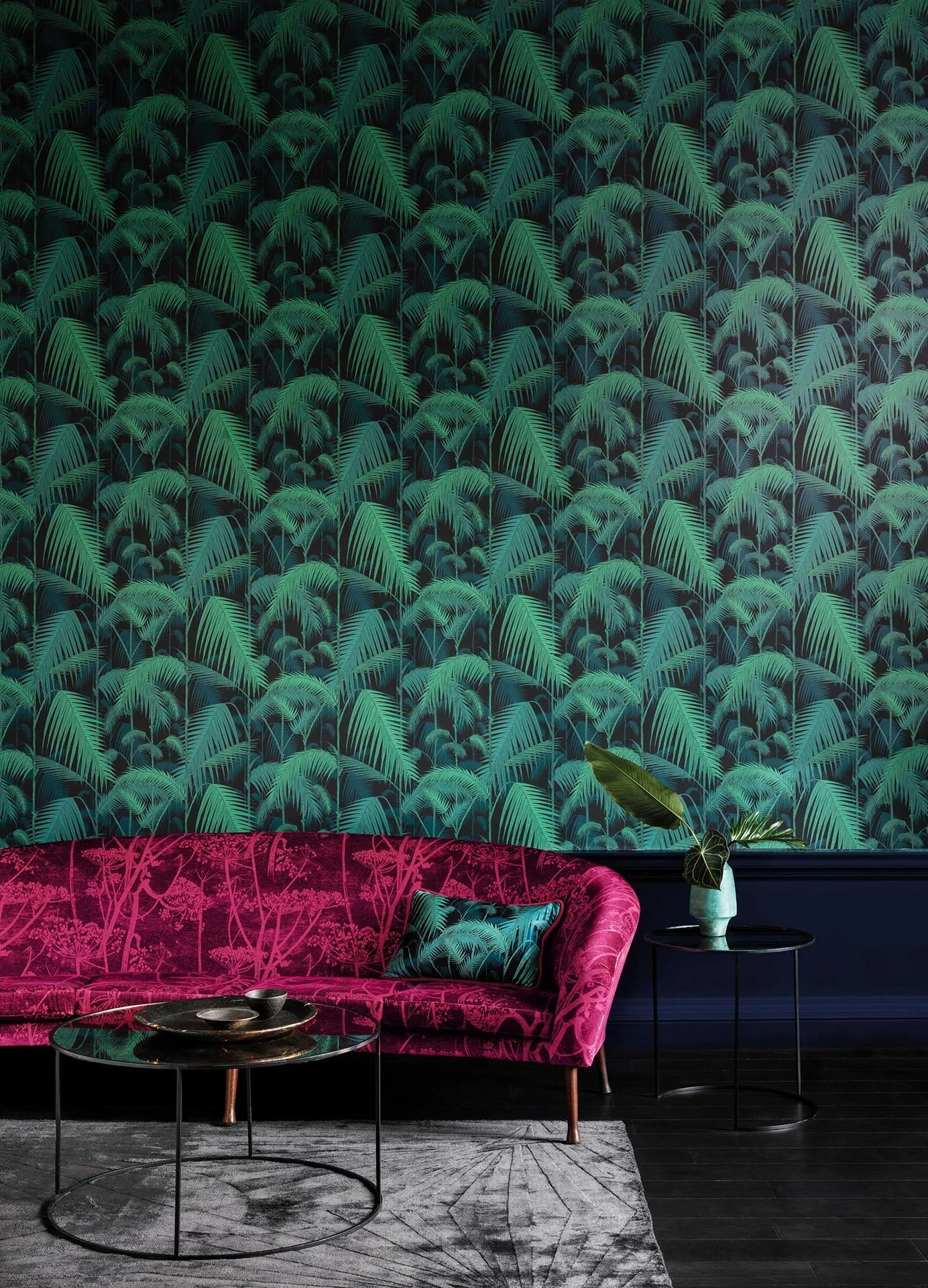 Cole &amp; Son