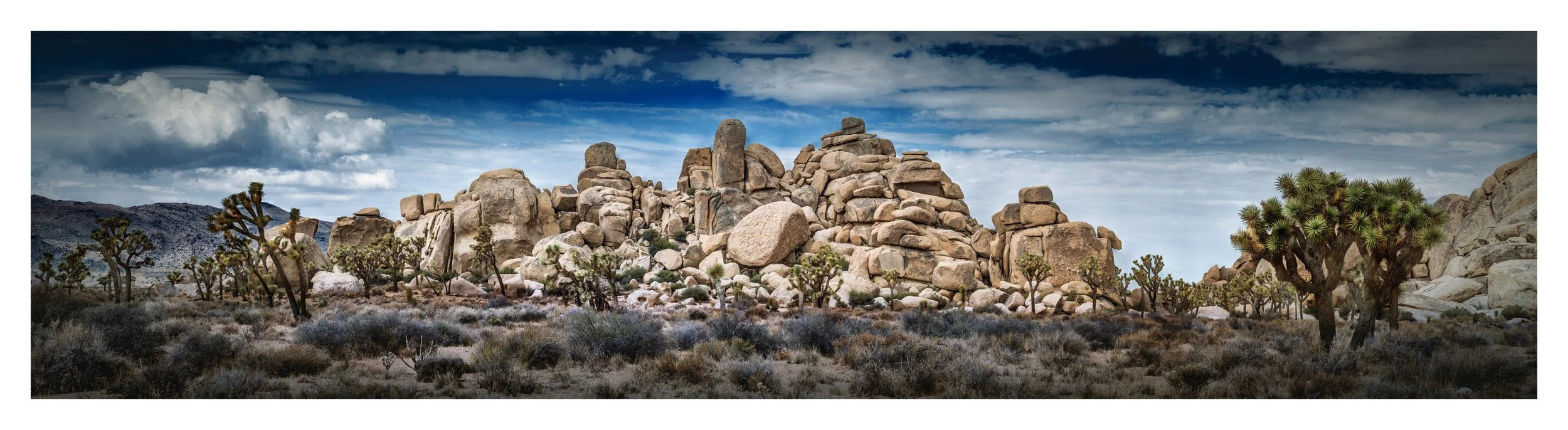 joshua-tree-rock-formations-panoramic-print.jpg