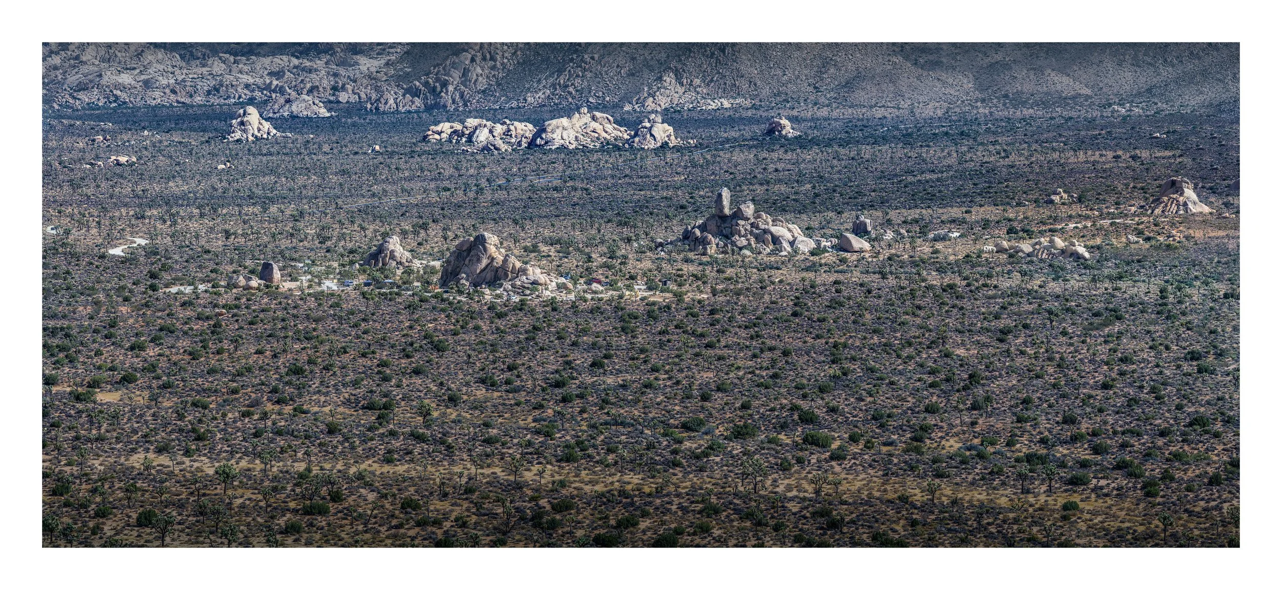 ryan-campground-joshua-tree-panoramic-print.jpg