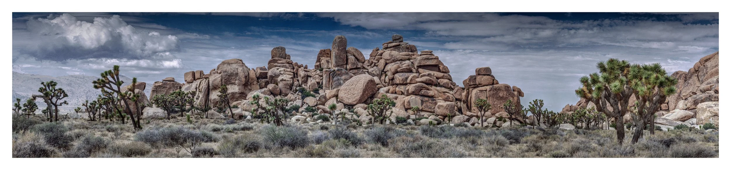 joshua-tree-boulder-field-panoramic-print.jpg