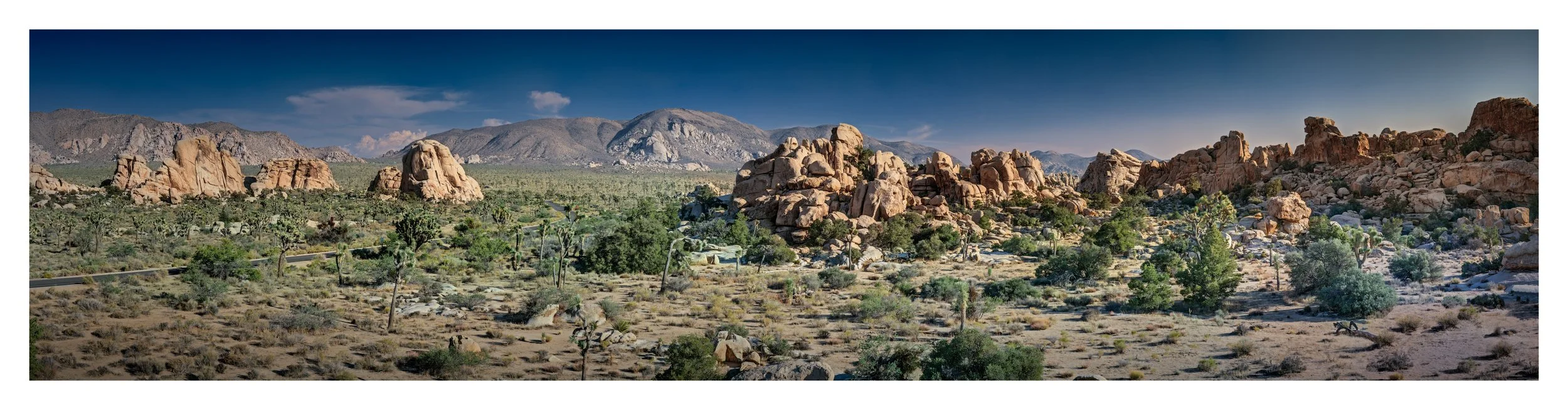 joshua-tree-desert-vista-panoramic-print.jpg