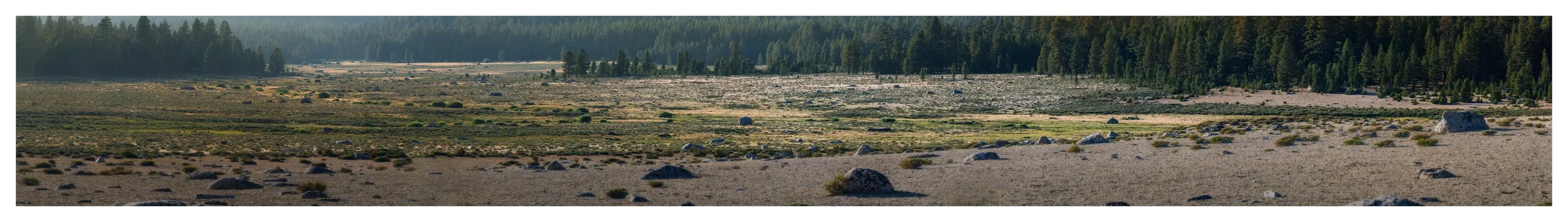 horseshoe- meadows-panoramic-print.jpg