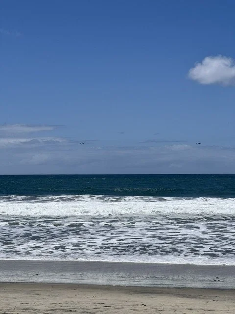 IMG_8505.JPG