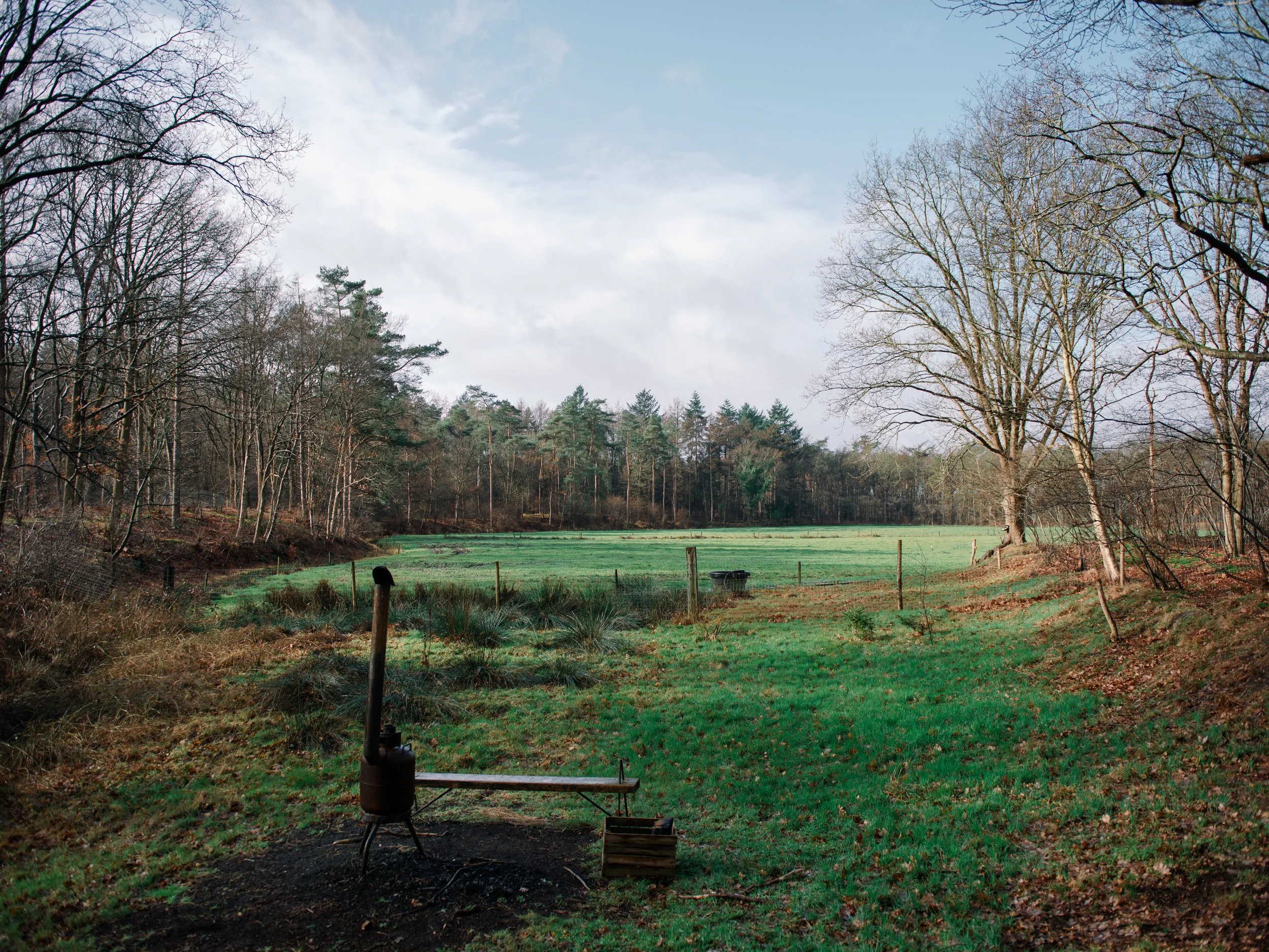 DSC_7050.jpg