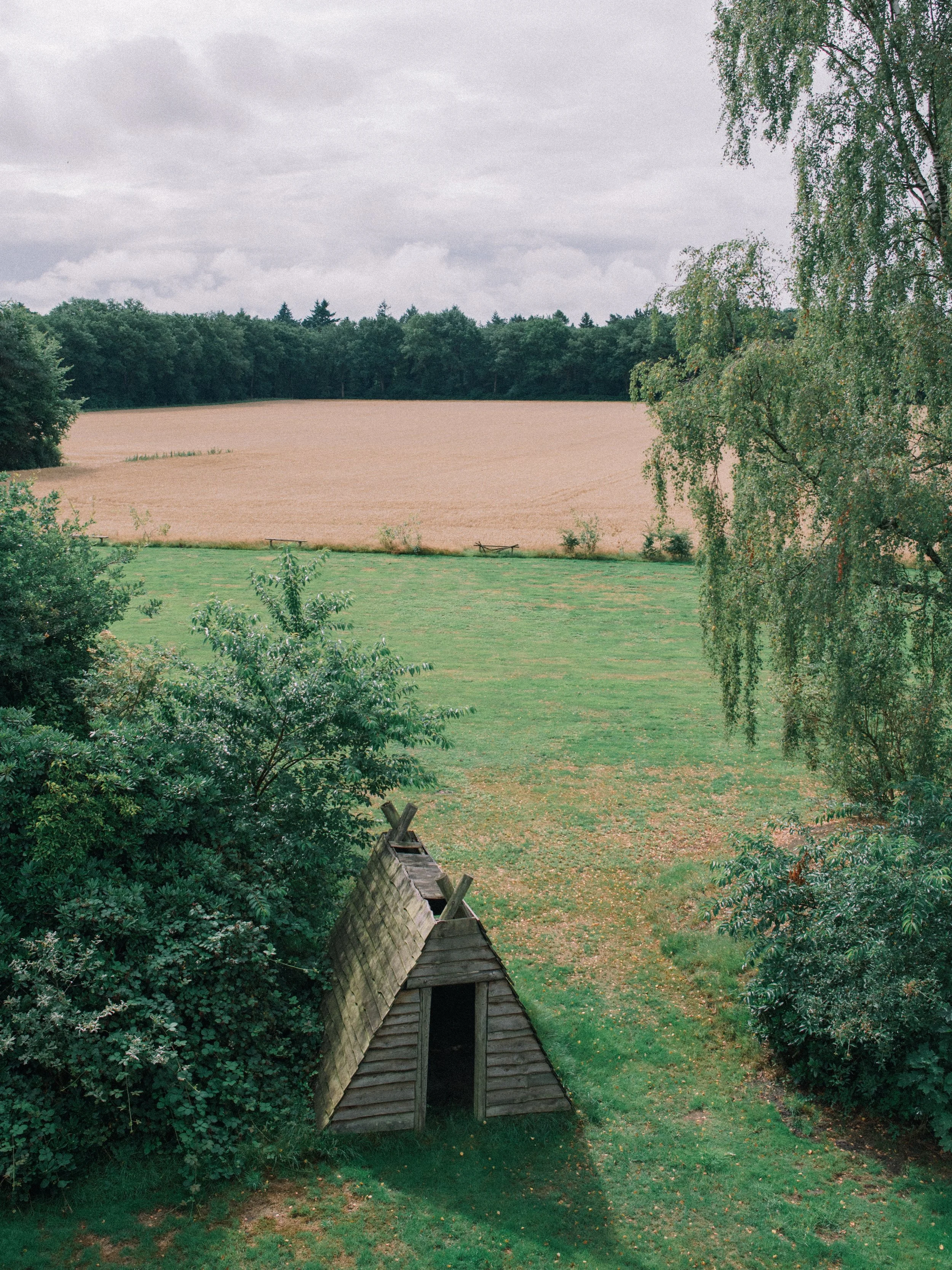 DSC_1771.jpg