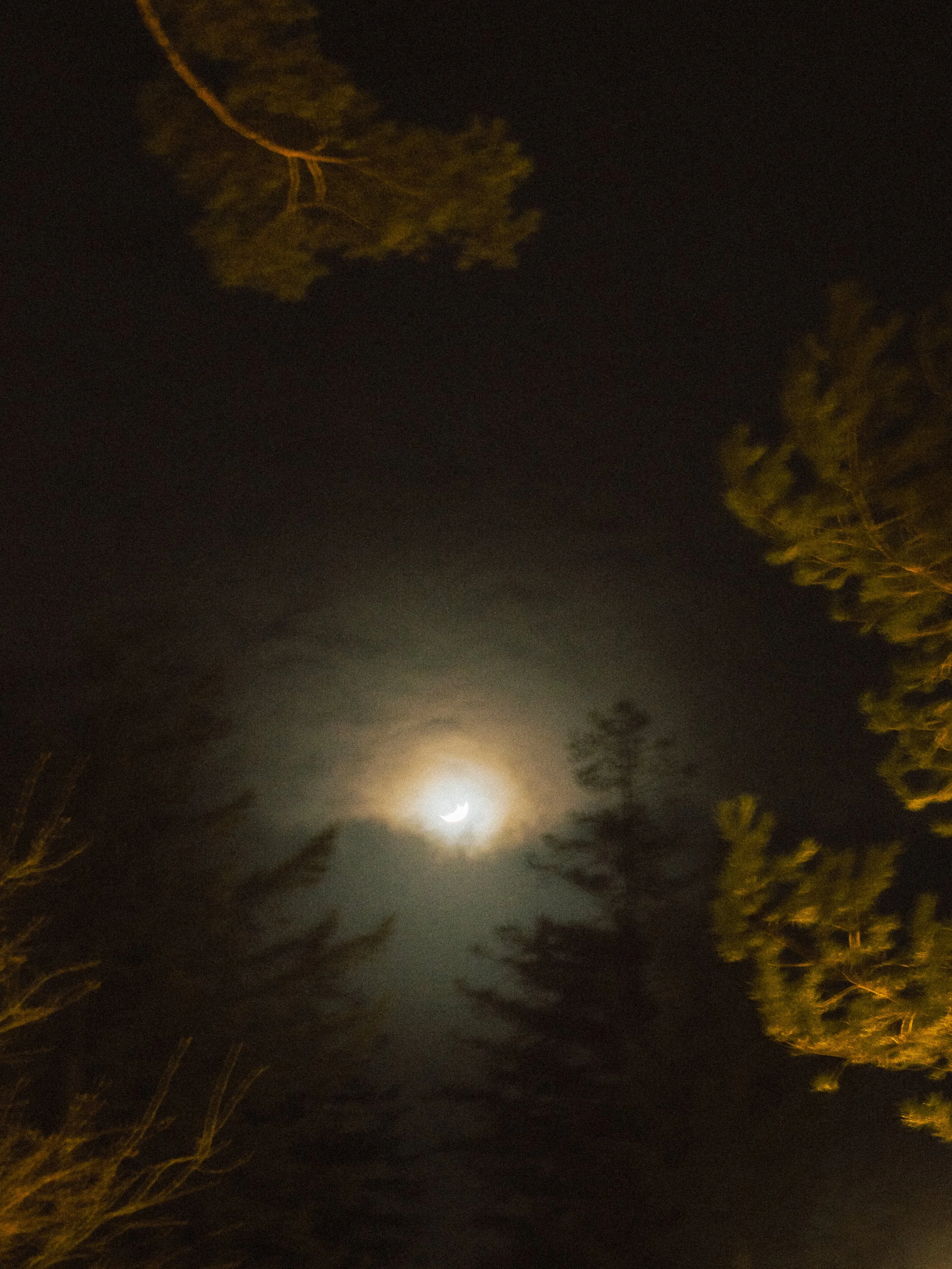 DSC_7195.jpg