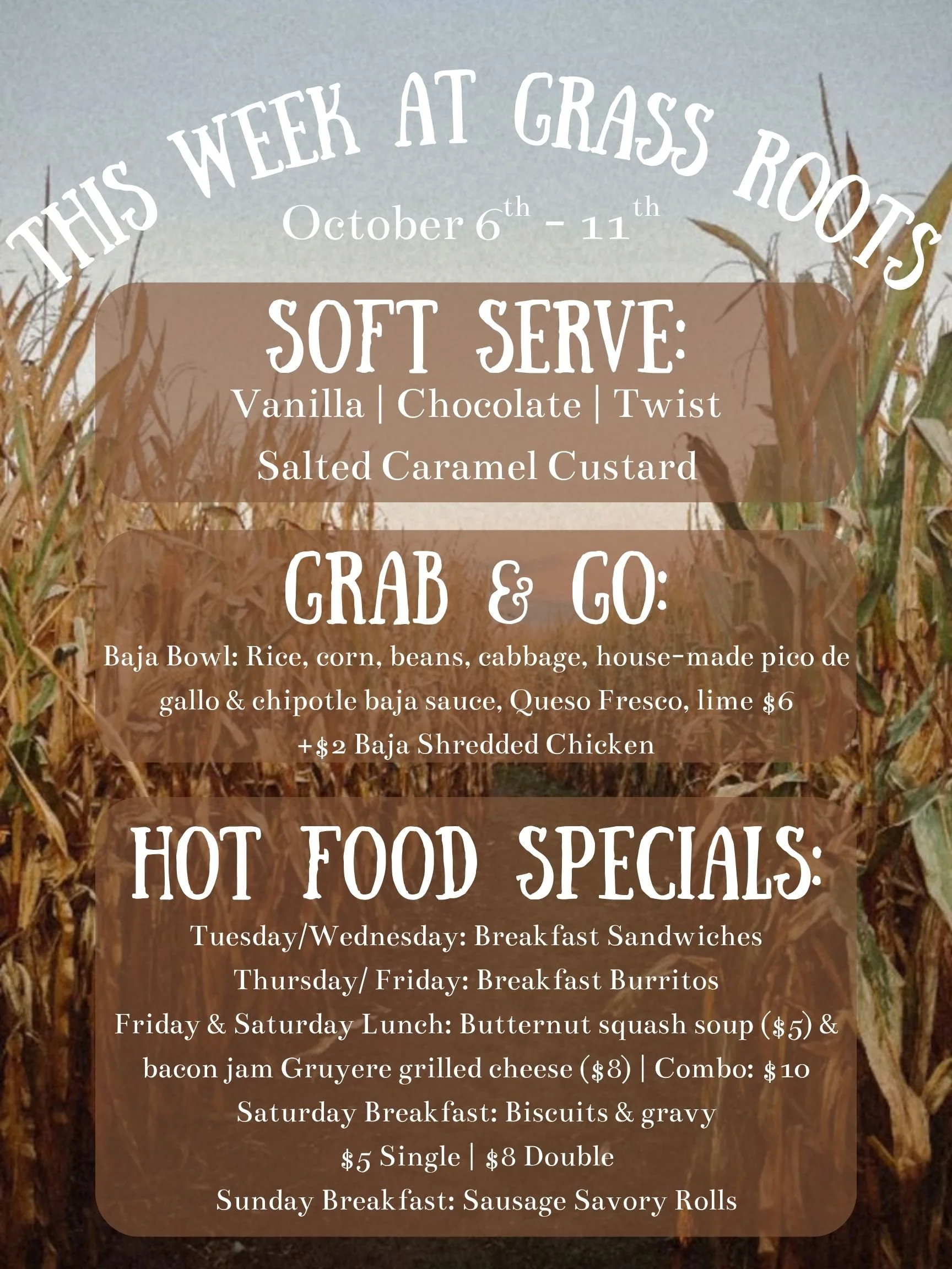 This week's menu recap!