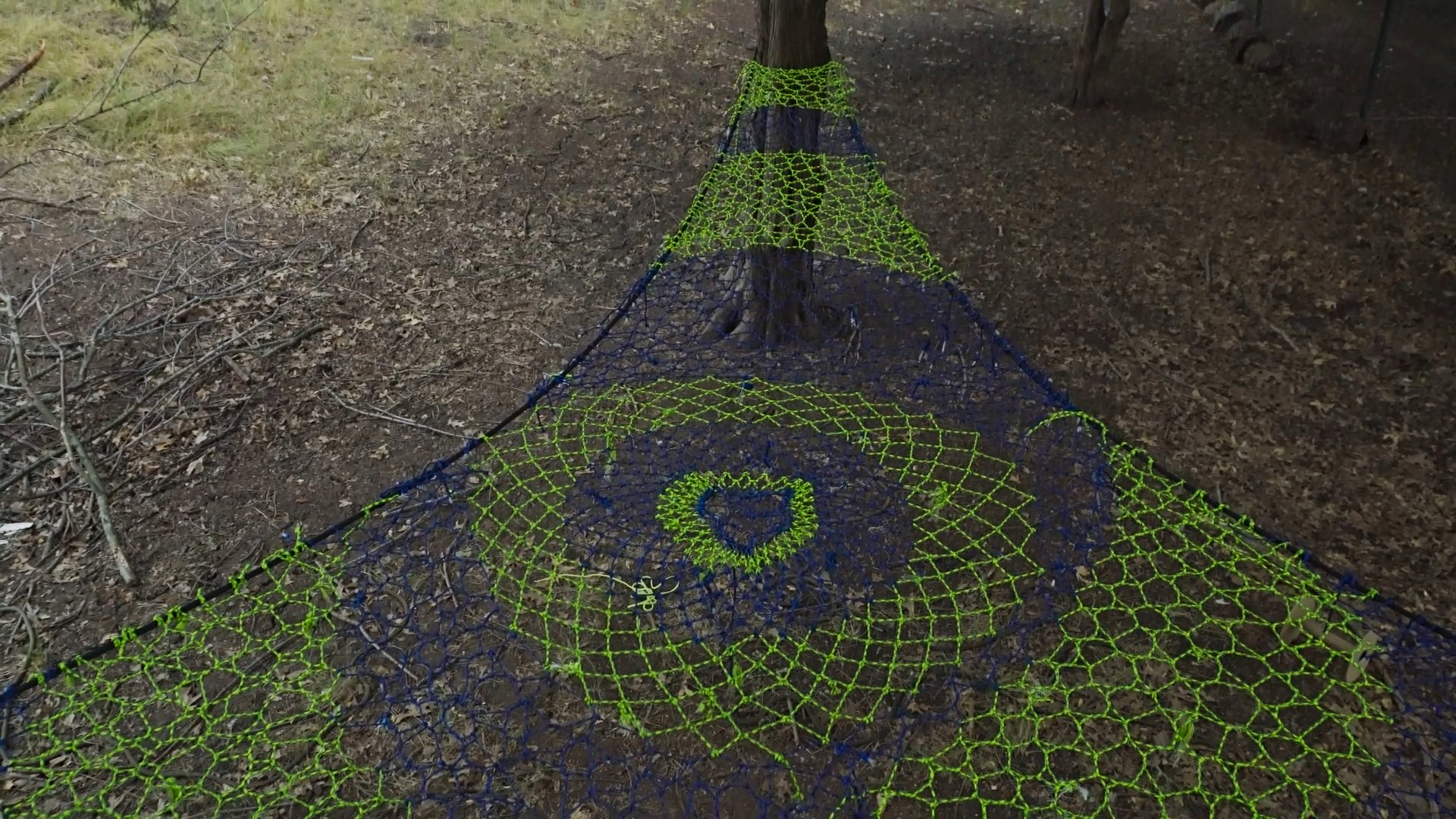 Timeline 1_01_05_49_14.jpg