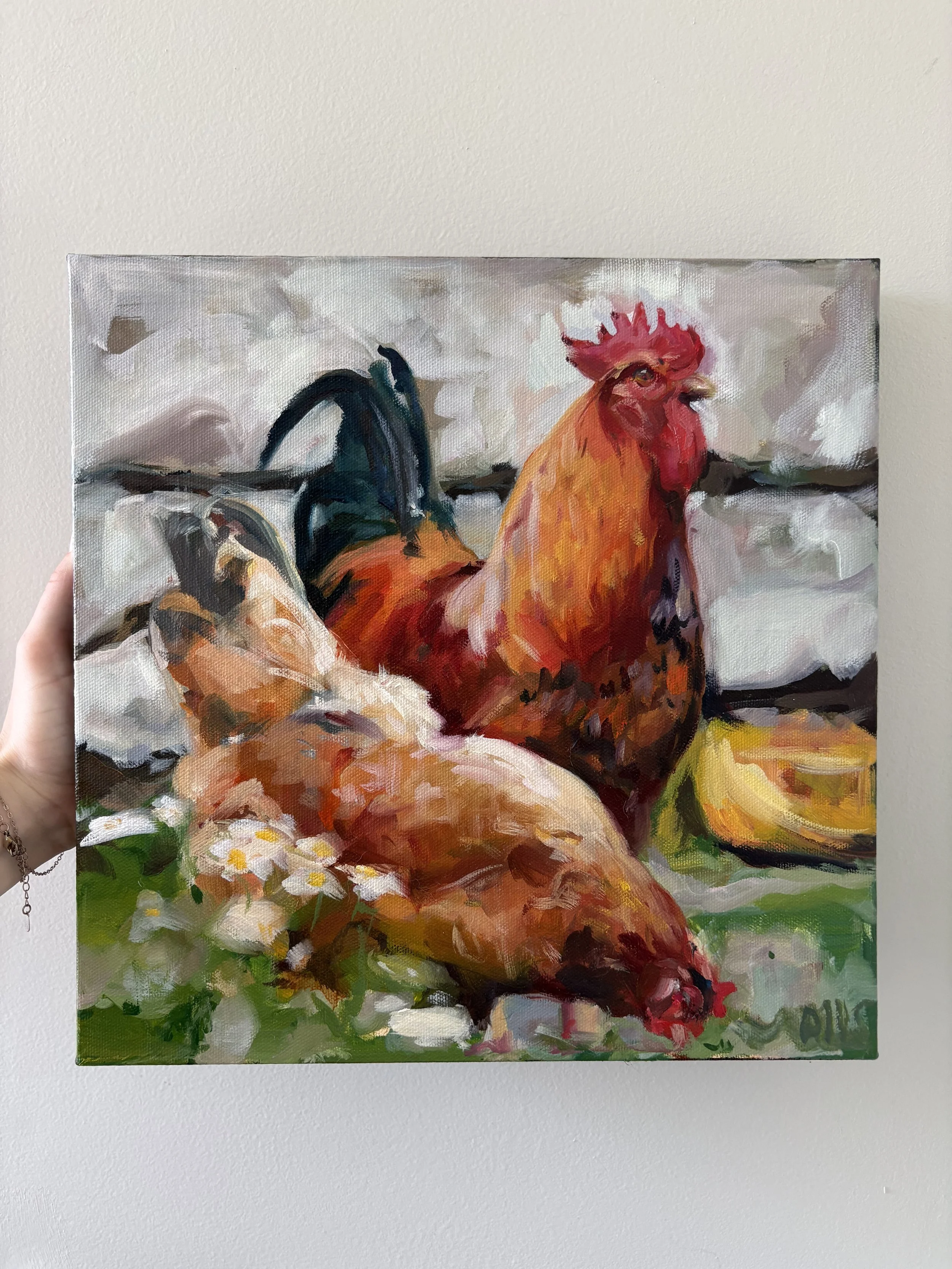 Chicken Study 2