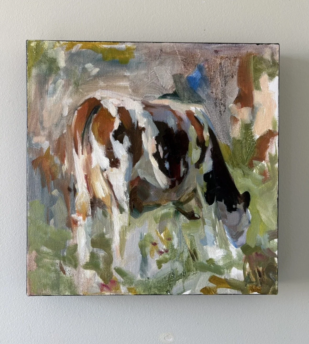 Cow & Color (Study)
