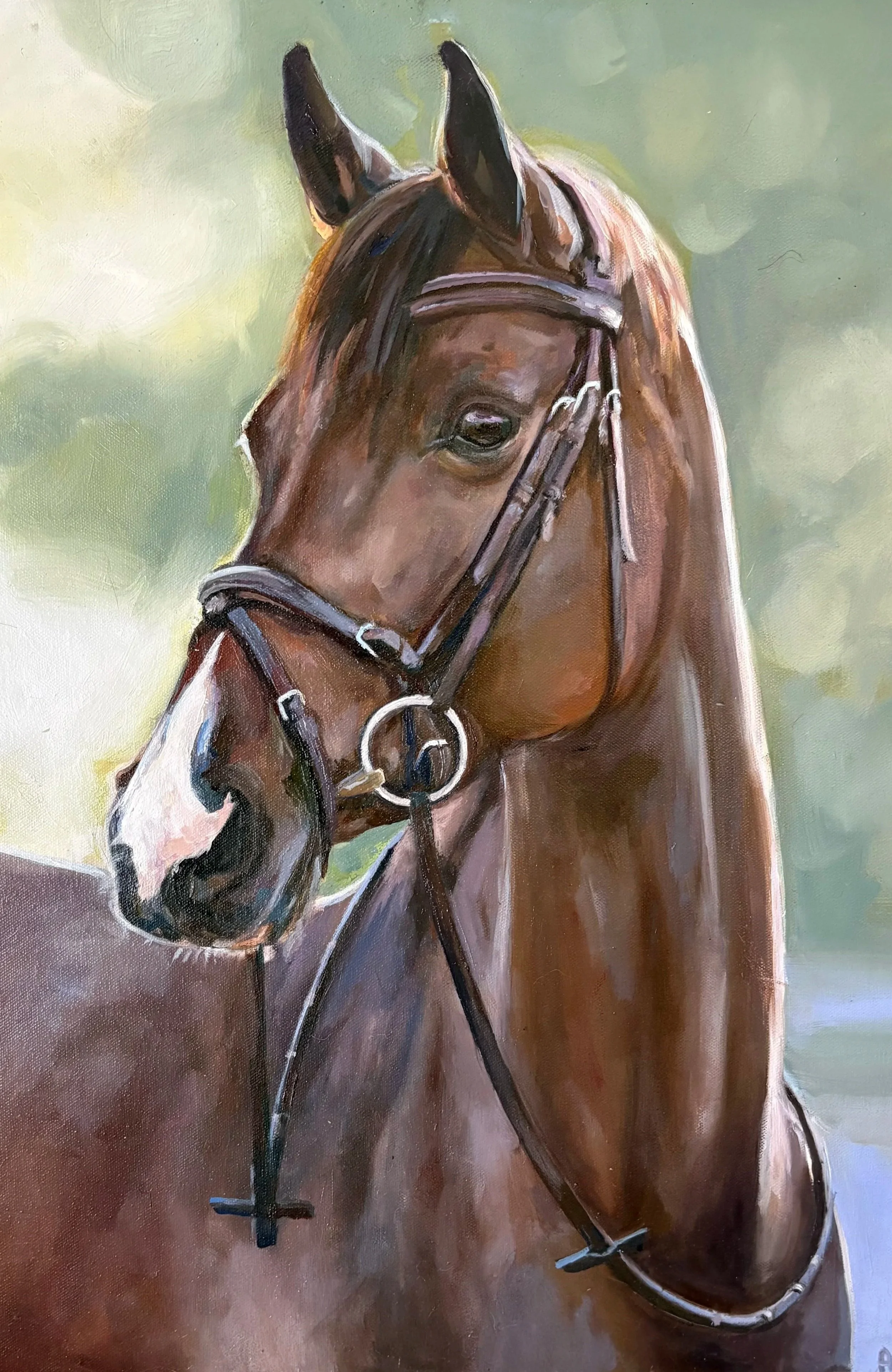 A painting of a brown horse with a white blaze on its nose, wearing a bridle, with a green and light background.