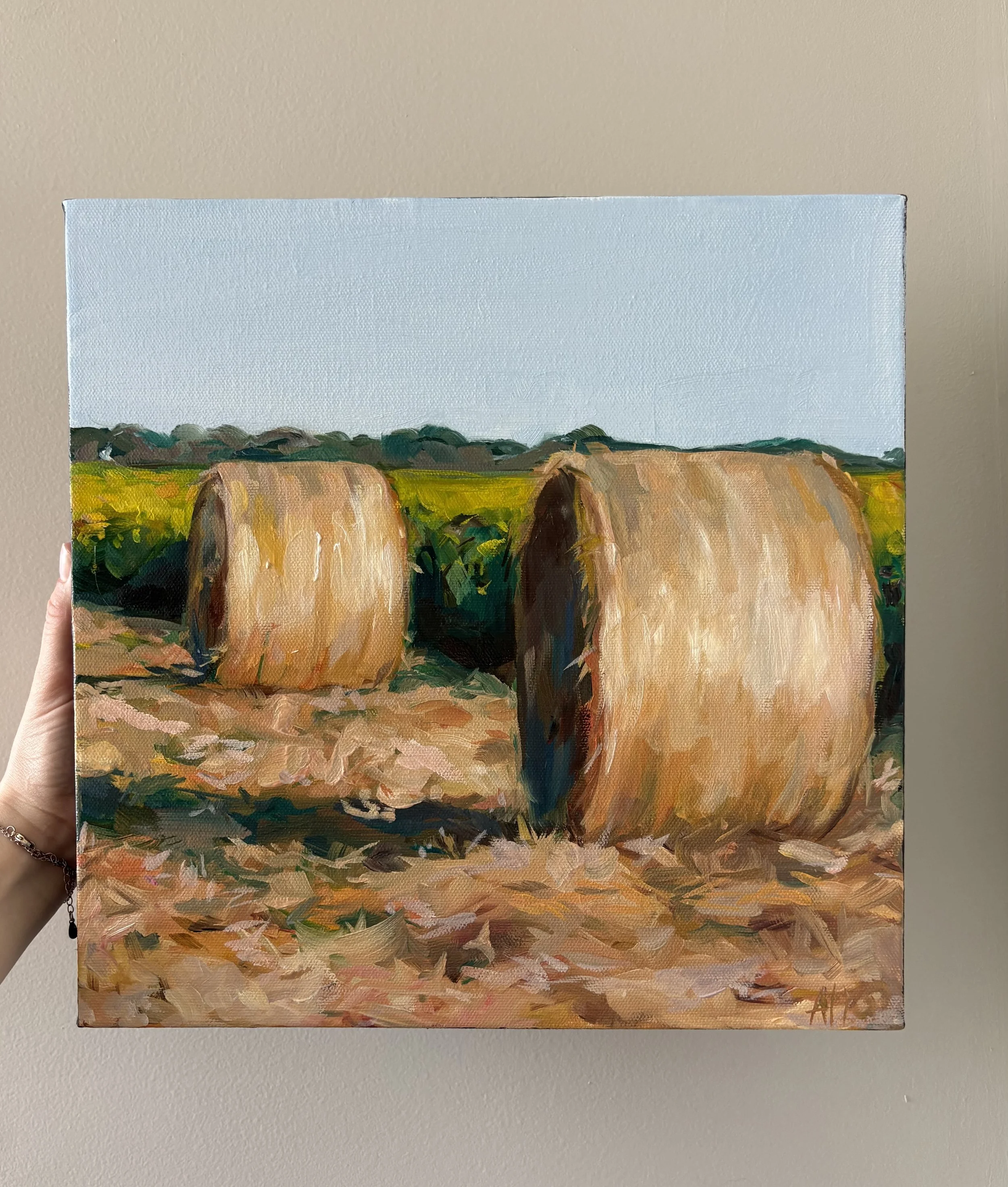 Hay Study 6