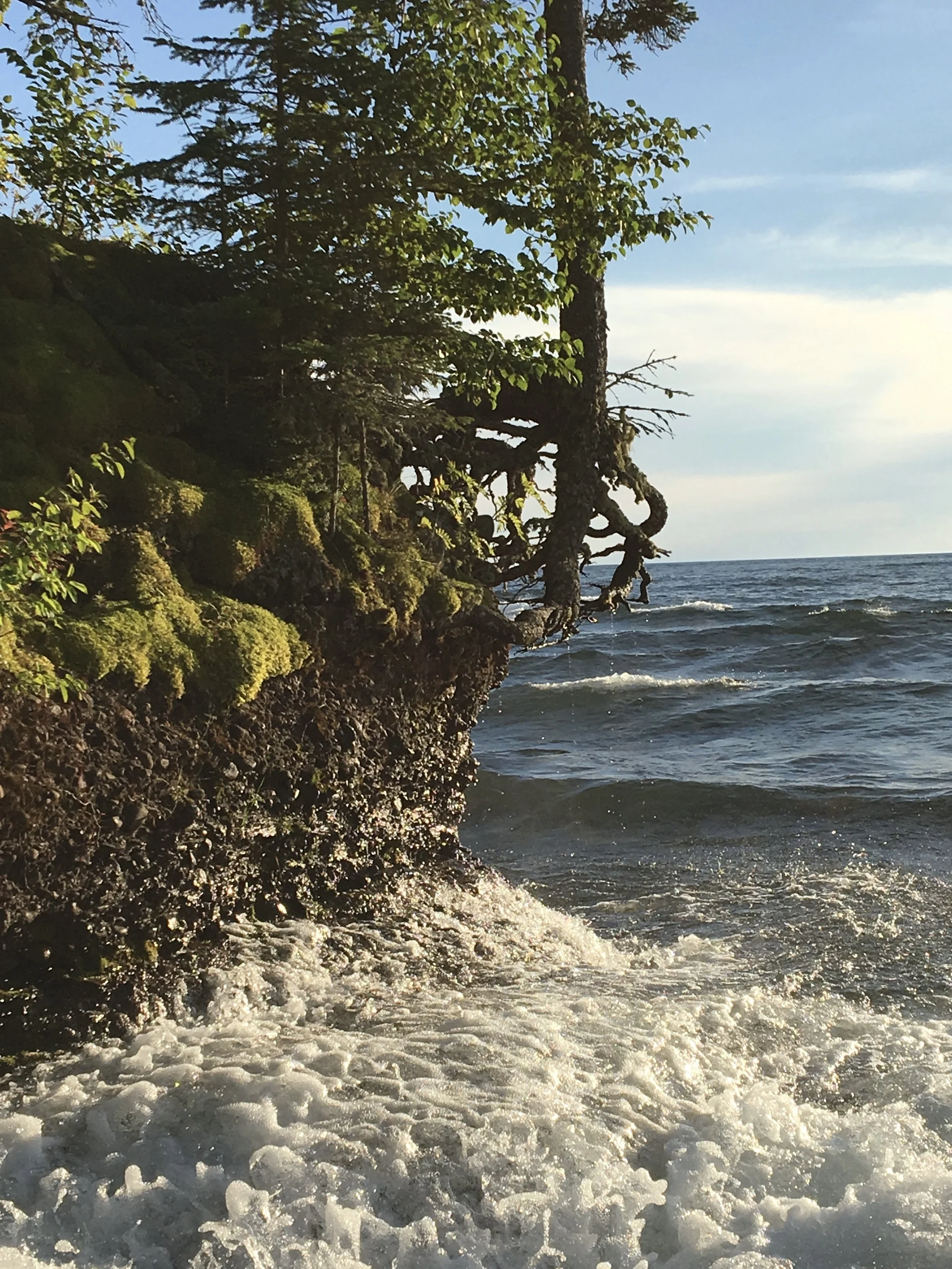 Mitch Sangl, Tree Landscaping, Ponderosa Tree Care, Tree and Landscaping