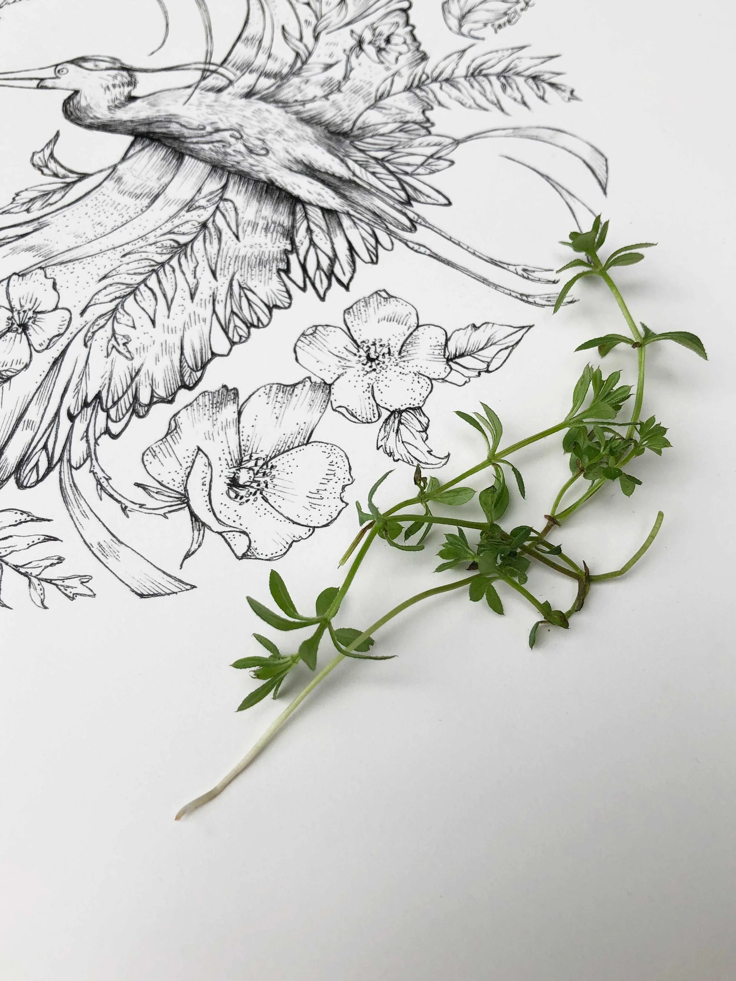 Heron-12x16-Original-Web-5.jpg